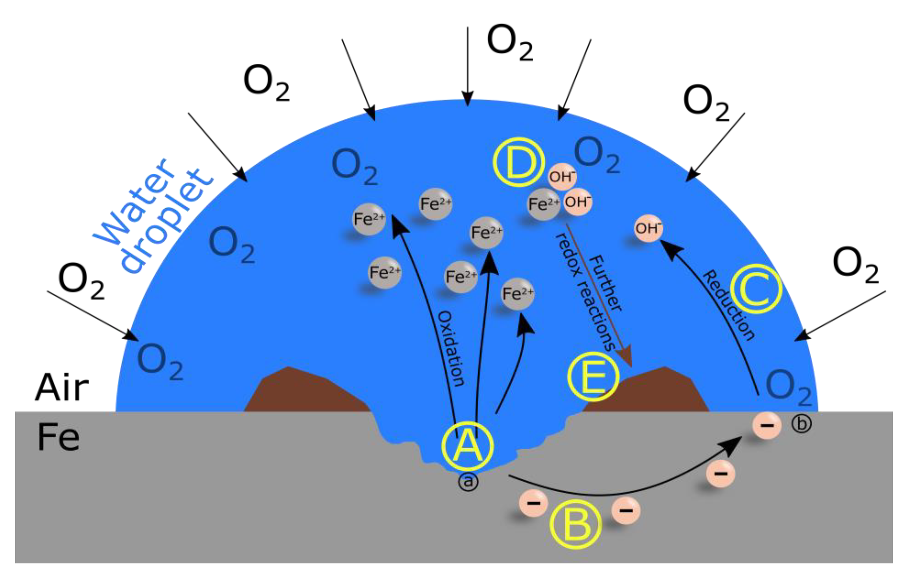 Chemosensors 08 00076 g001