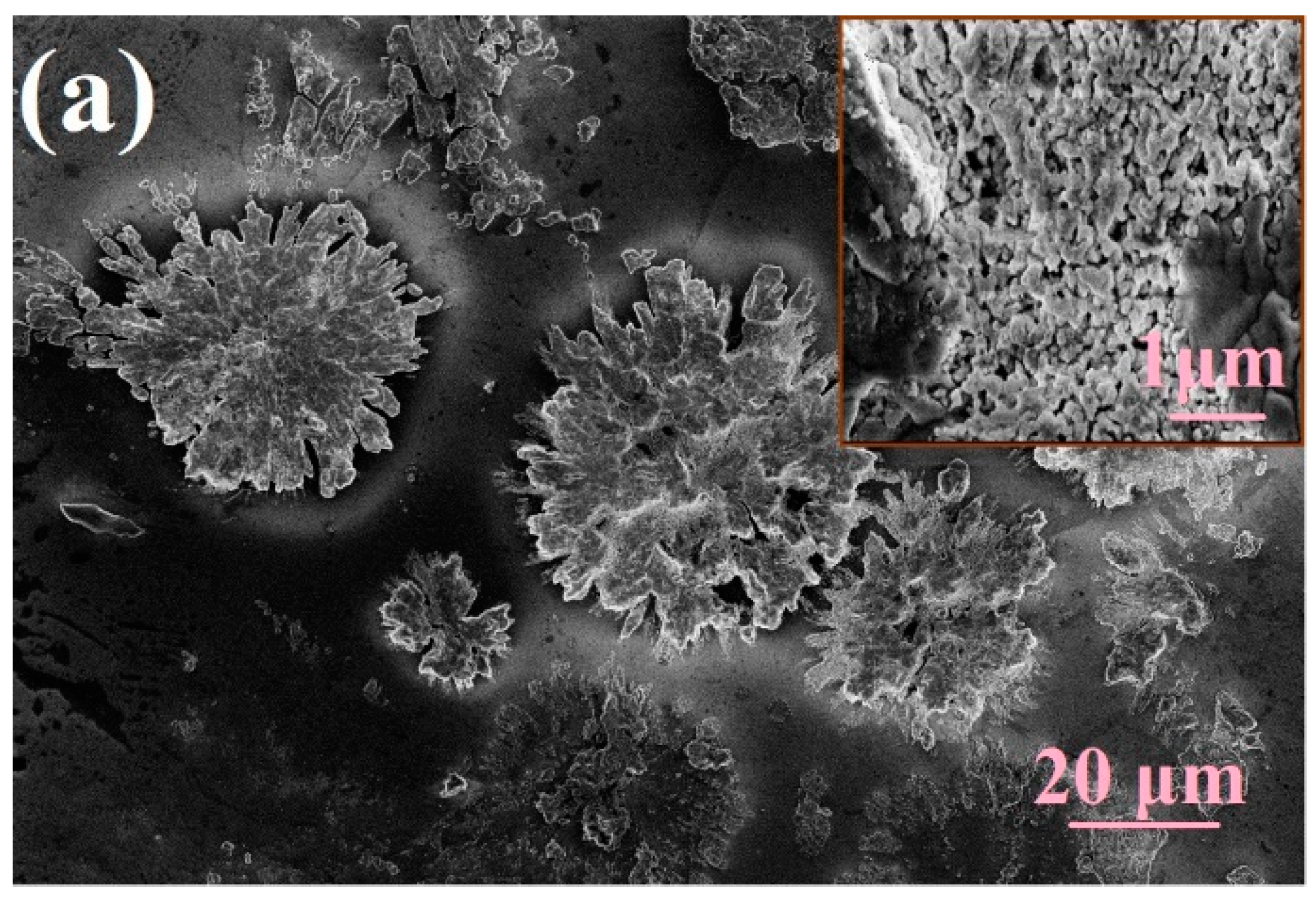 Chemosensors 08 00079 g001a