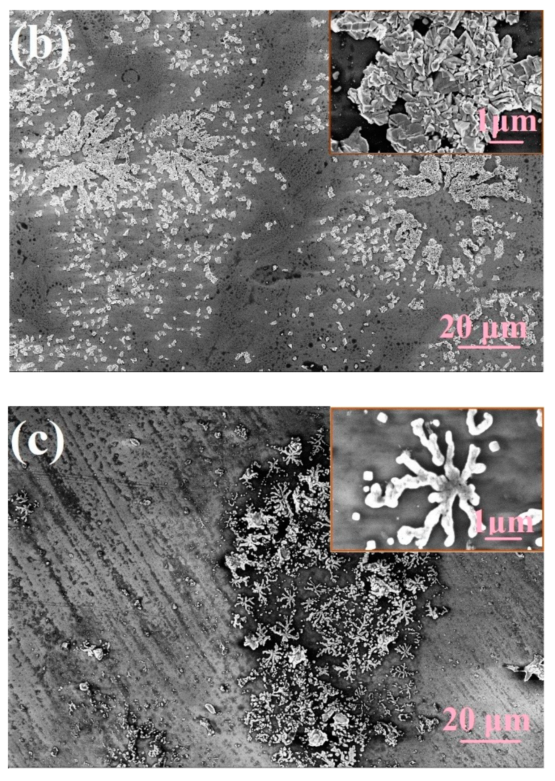 Chemosensors 08 00079 g001b