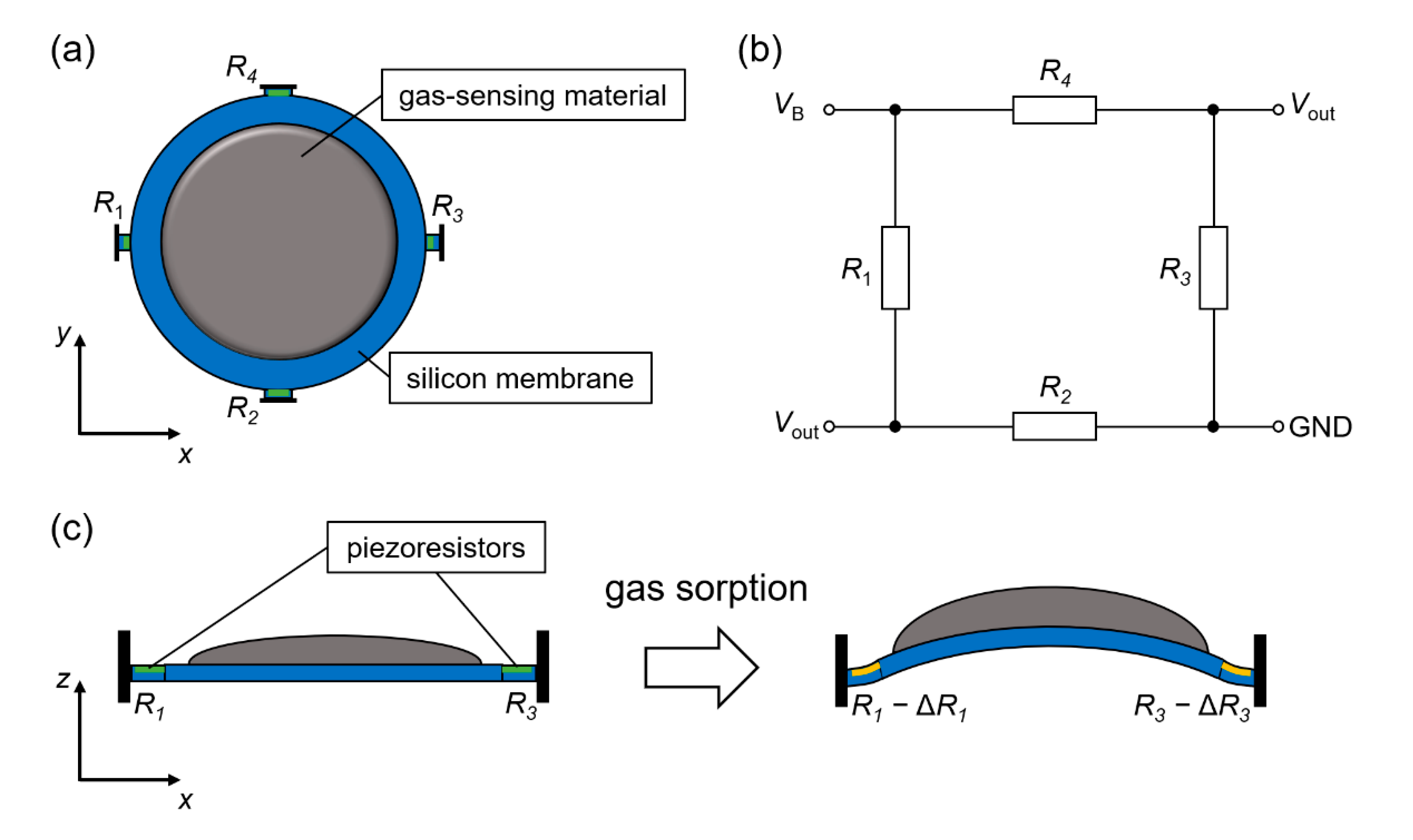 Chemosensors 08 00082 g001