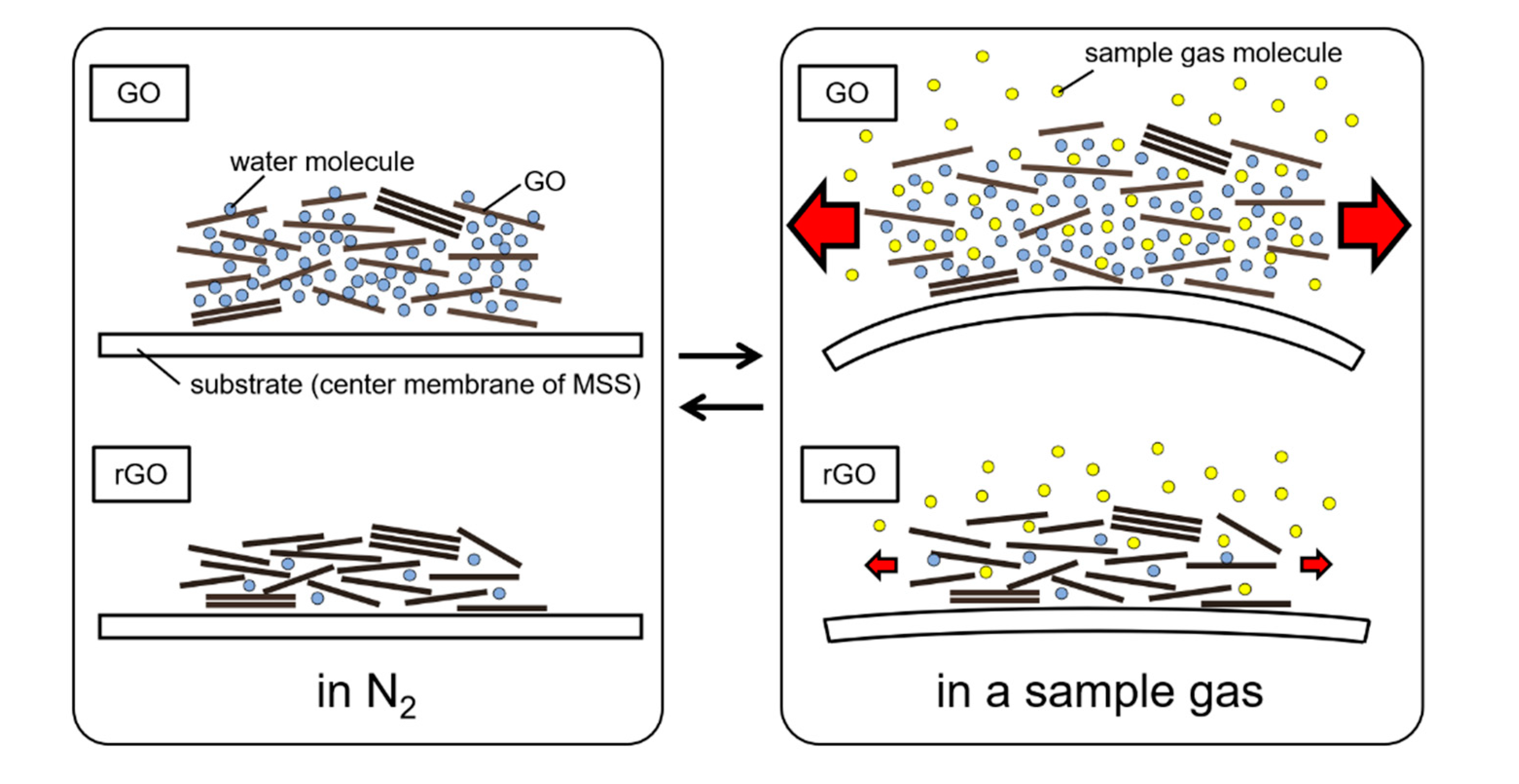 Chemosensors 08 00082 g012
