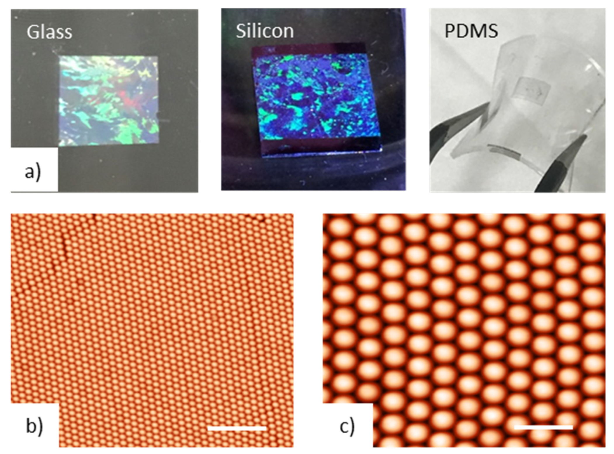 Chemosensors 08 00083 g001
