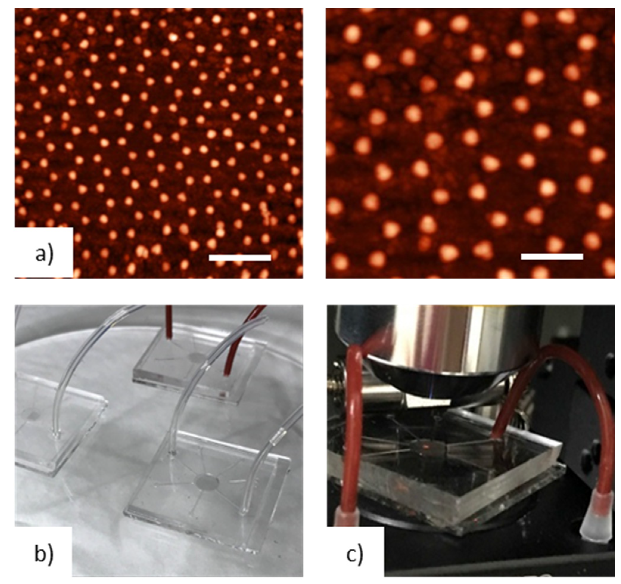 Chemosensors 08 00083 g003