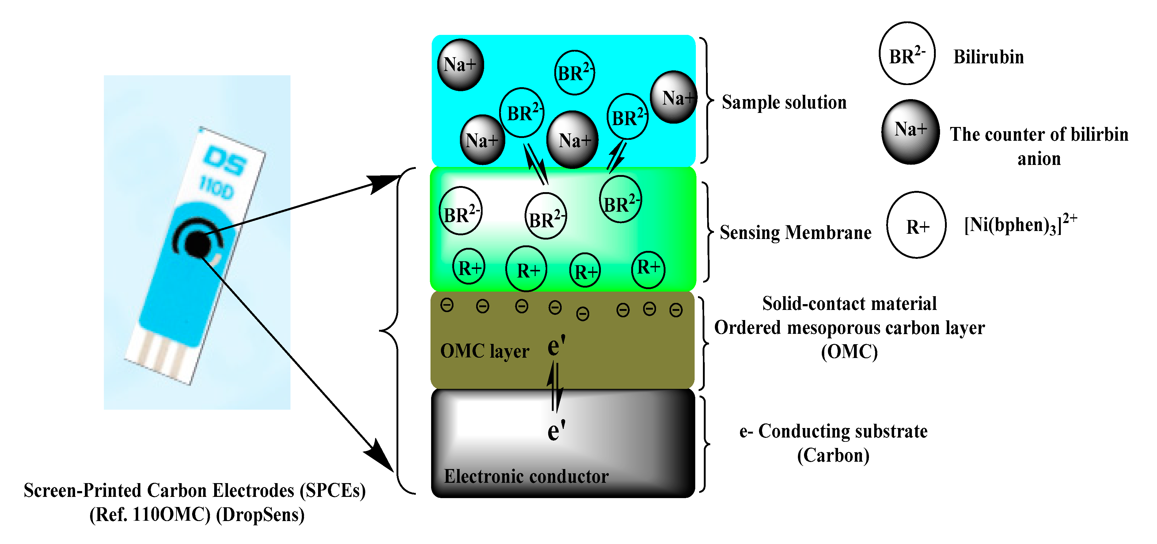 Chemosensors 08 00086 g001