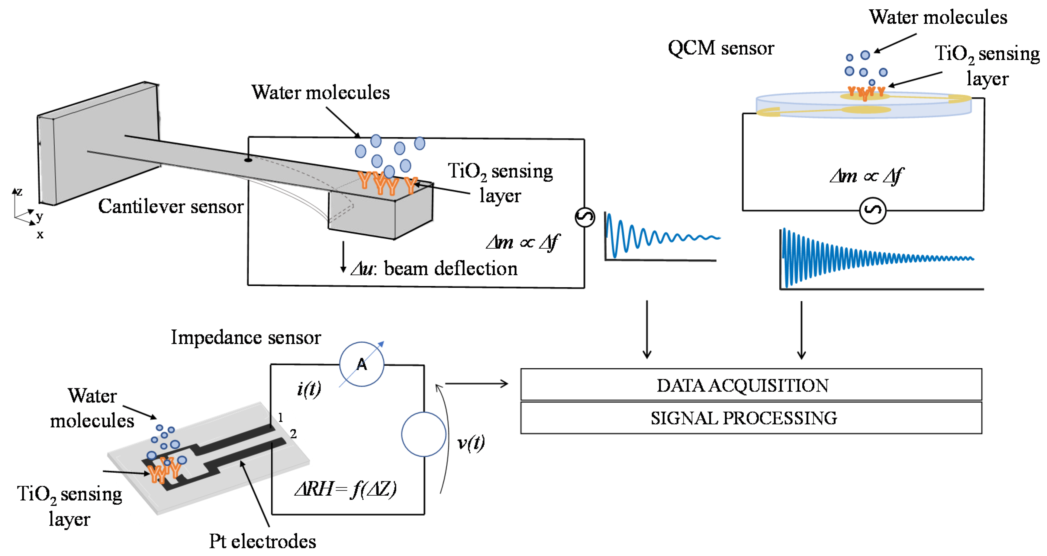 Chemosensors 08 00089 g008