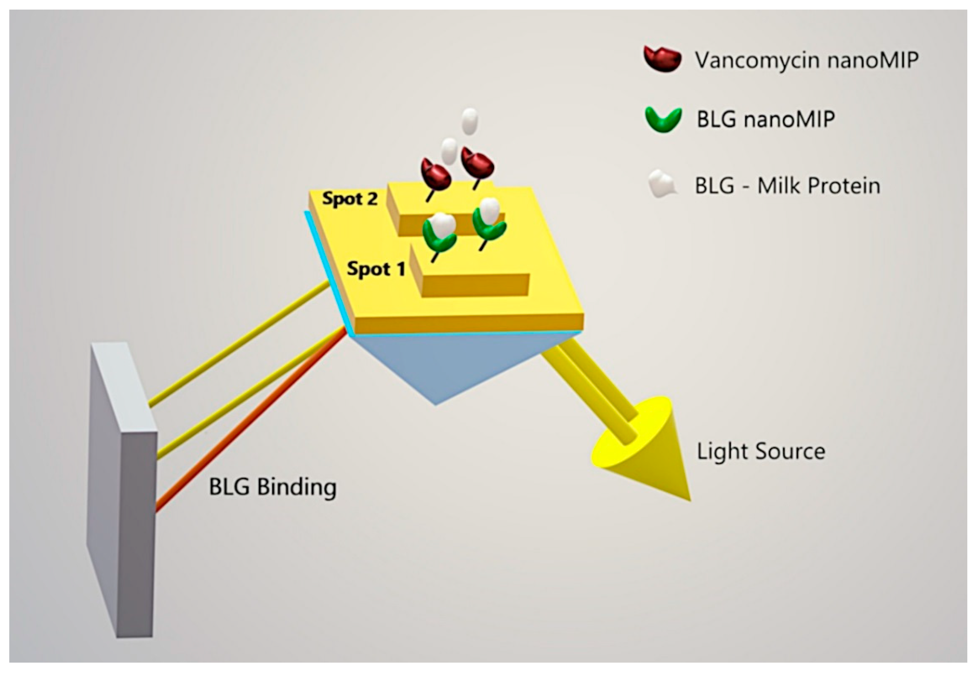 Chemosensors 08 00094 sch001