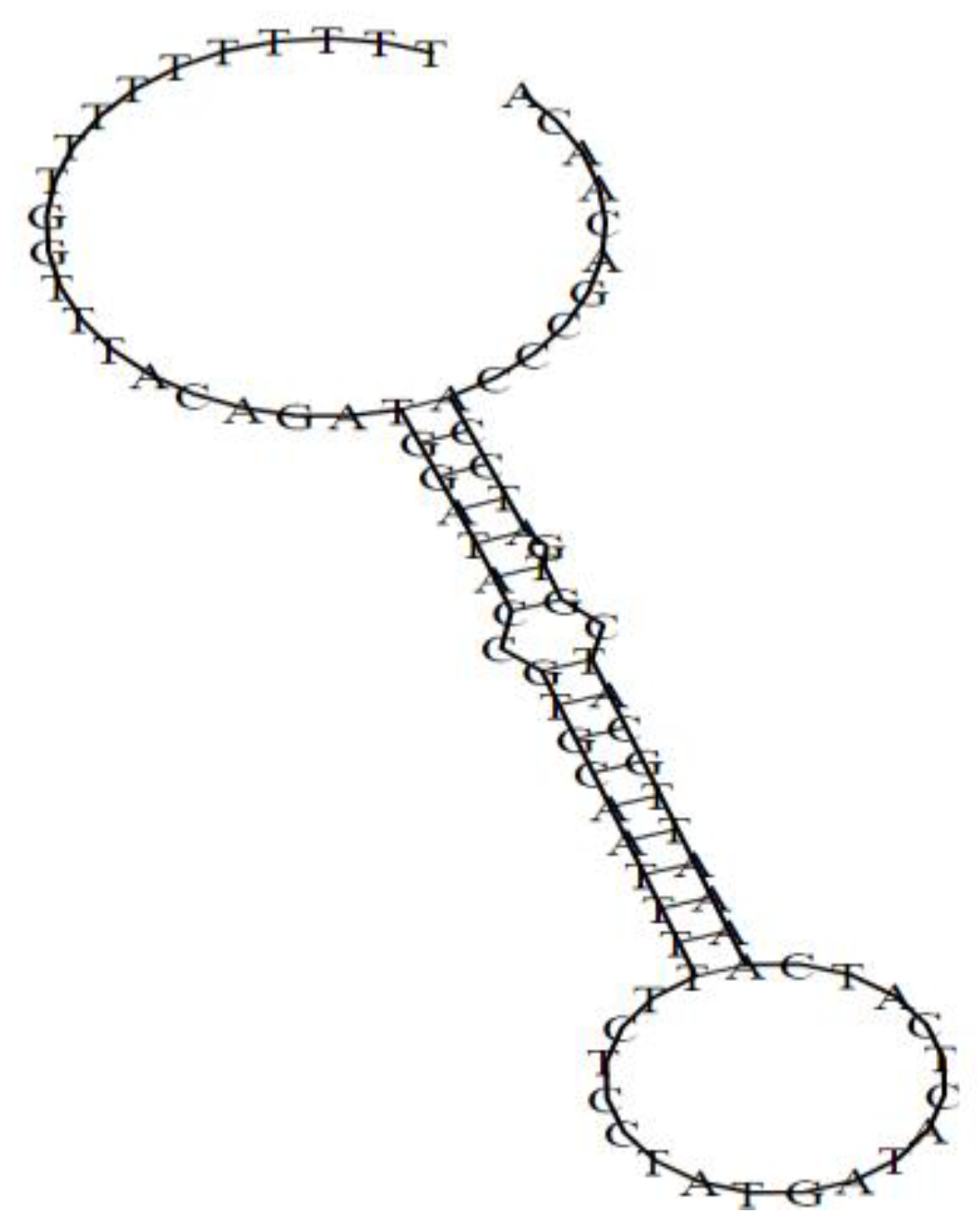 Chemosensors 08 00095 g001