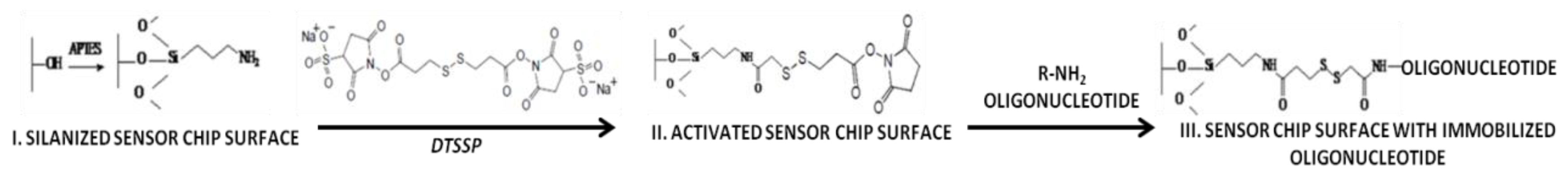 Chemosensors 08 00095 g002