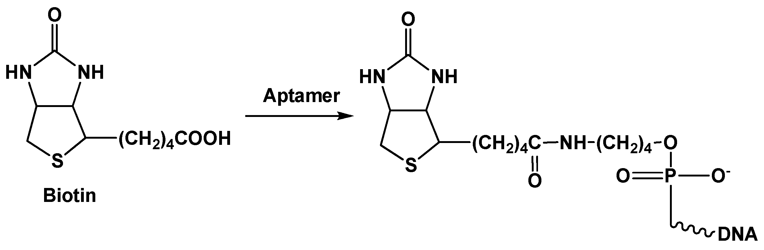 Chemosensors 08 00096 g008