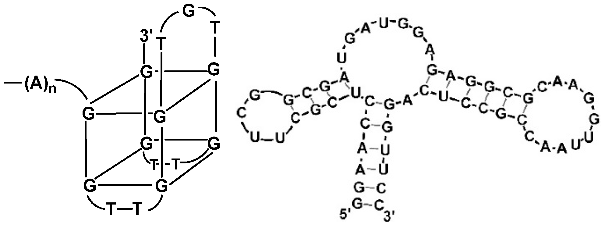 Chemosensors 08 00096 g010