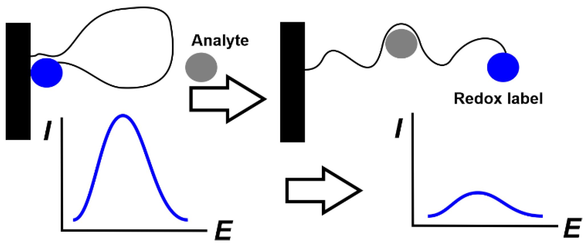 Chemosensors 08 00096 g011