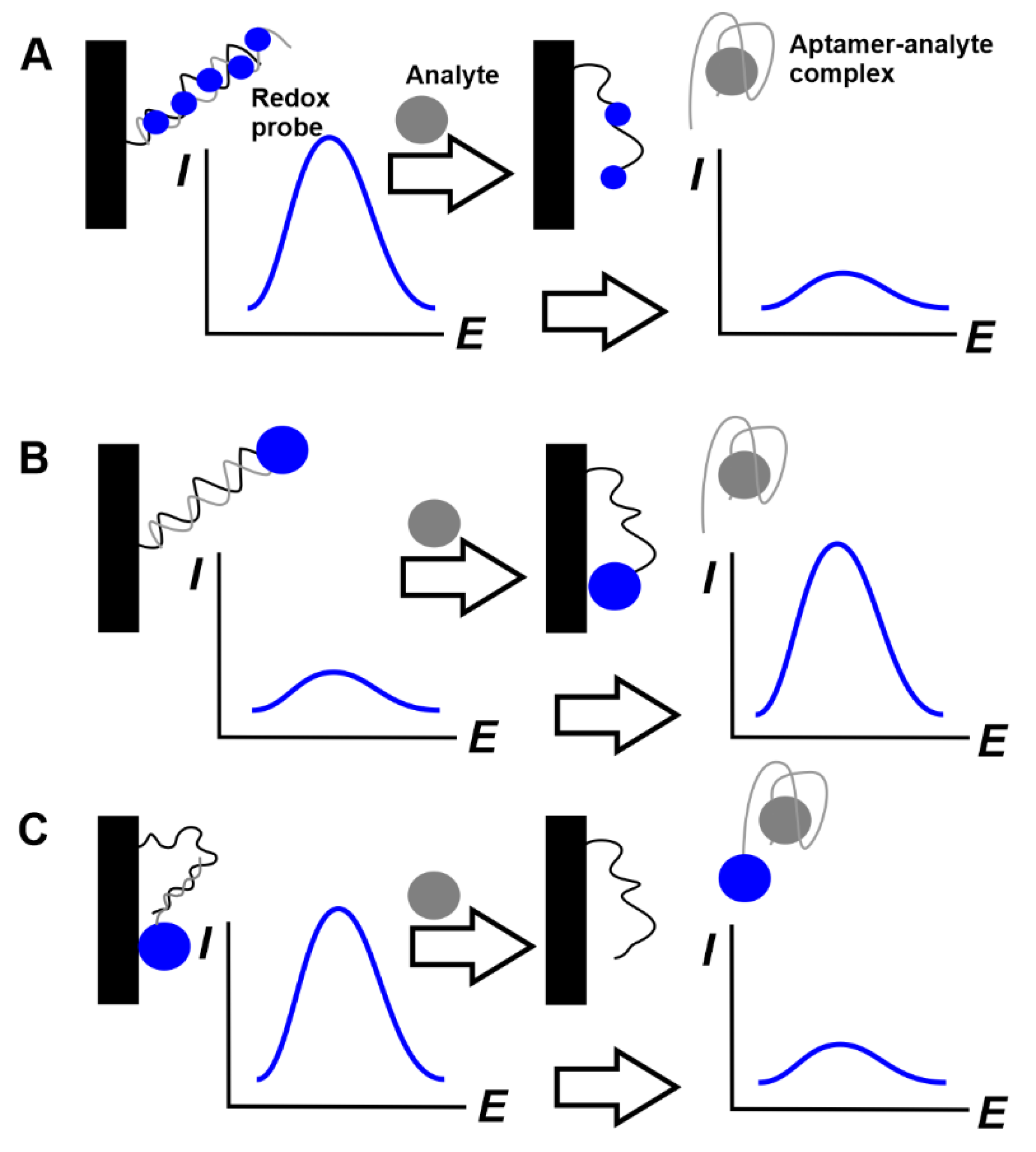 Chemosensors 08 00096 g012