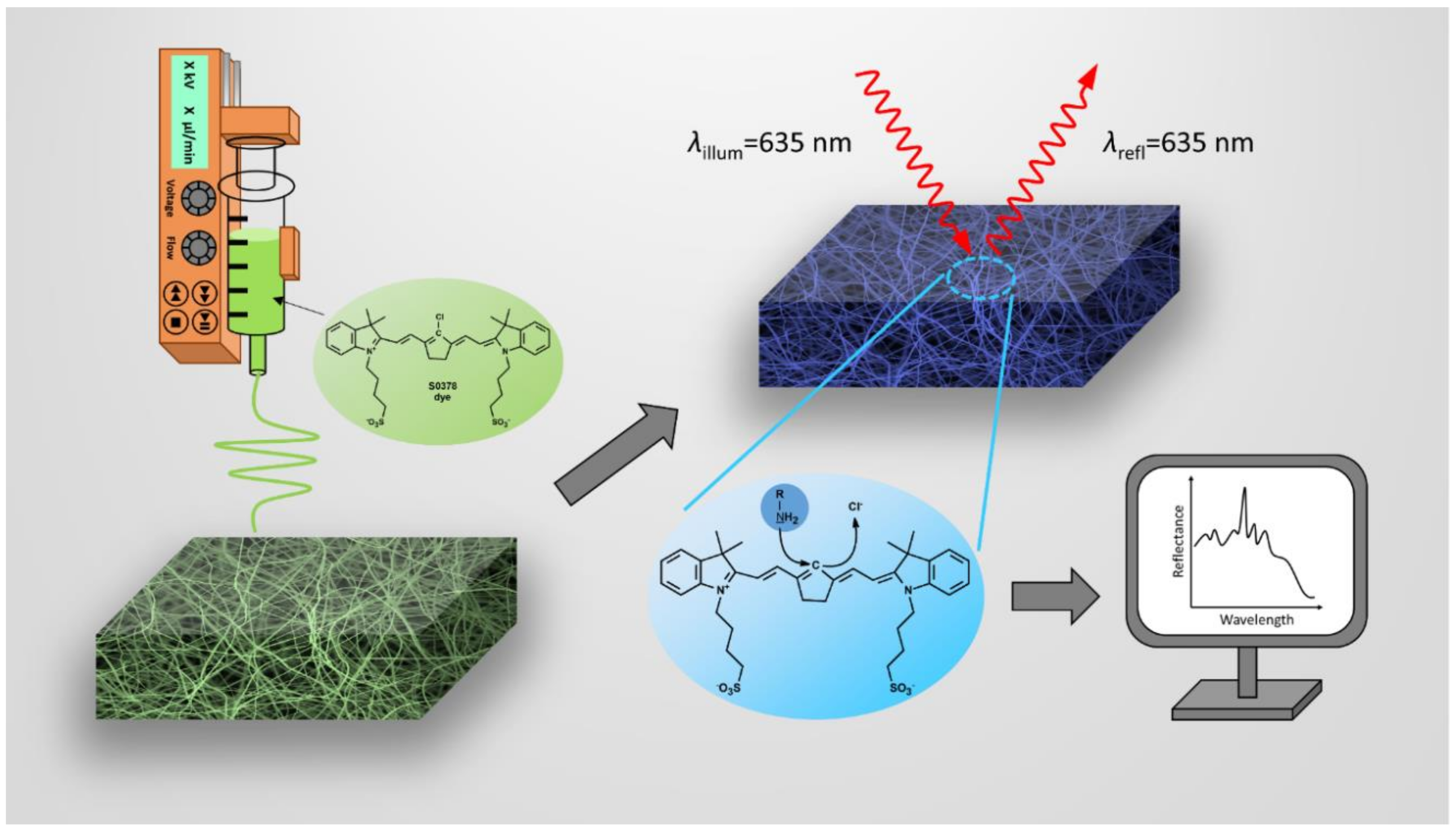 Chemosensors 08 00099 g001