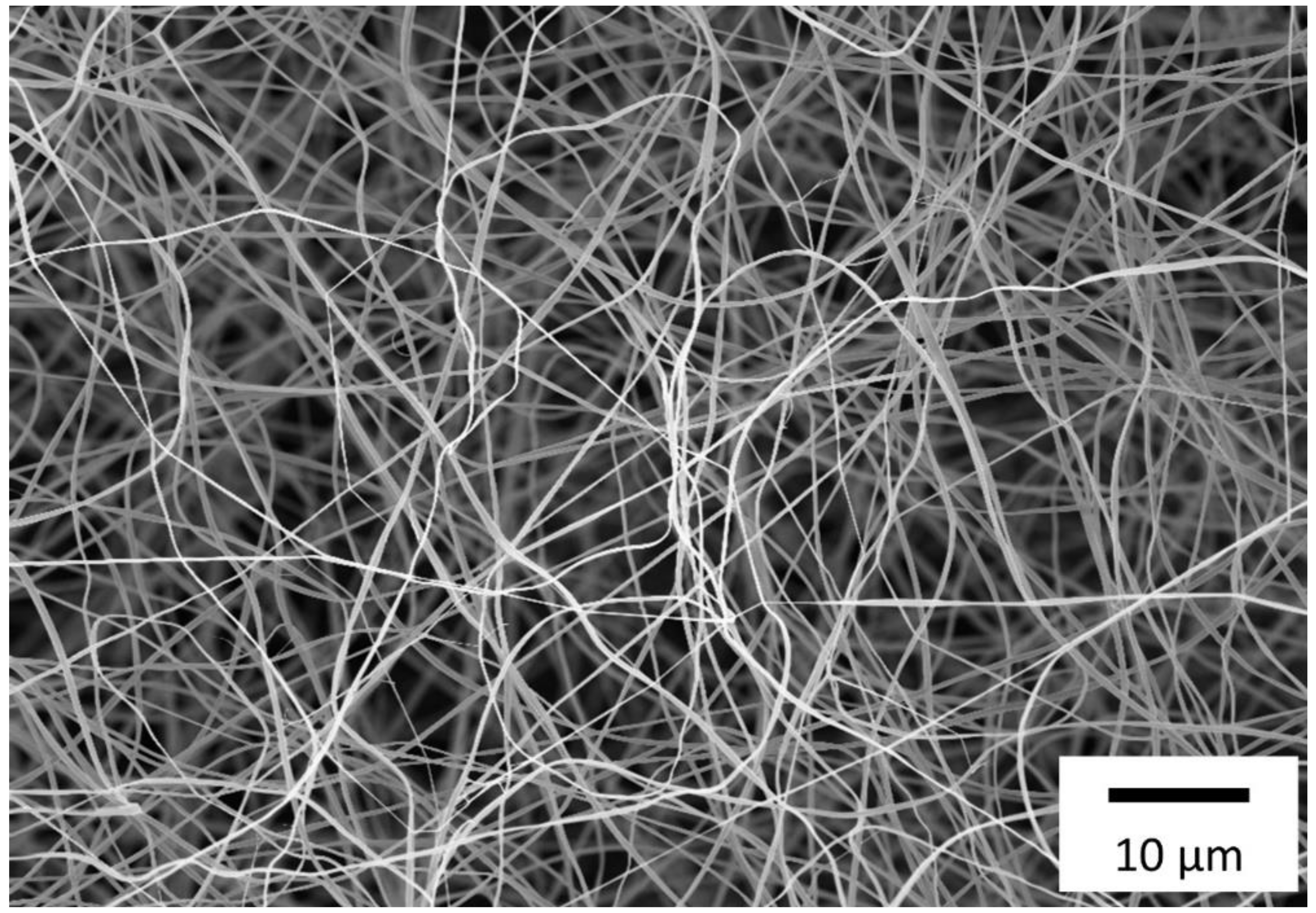 Chemosensors 08 00099 g006