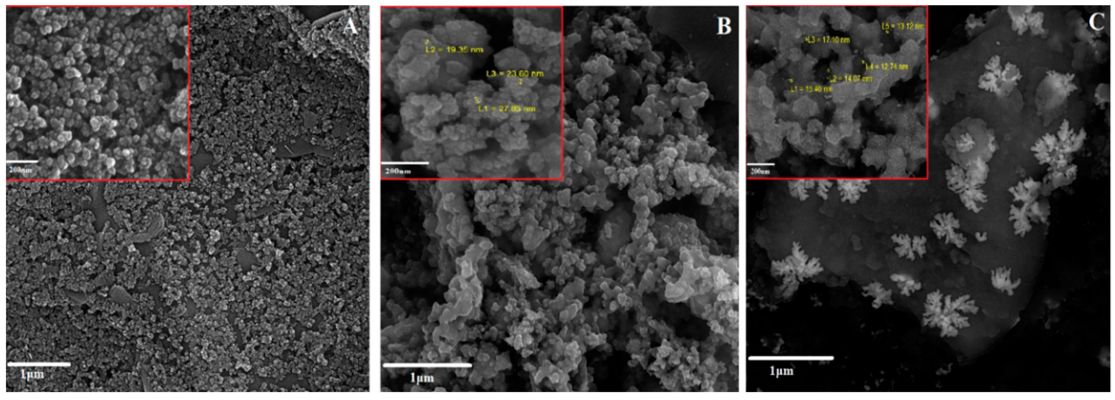 Chemosensors 08 00100 g002 Chemosensors 08 00100 g002