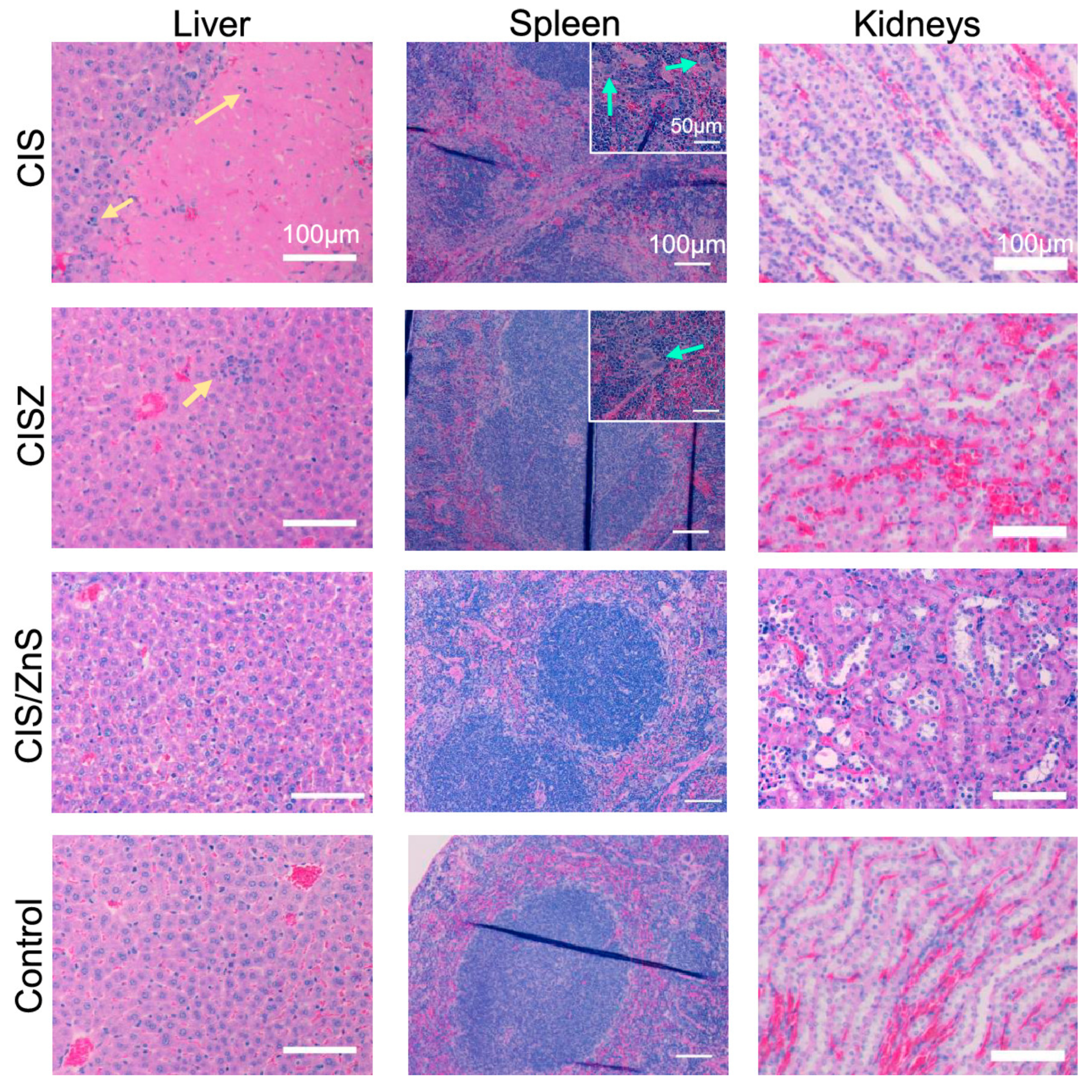 Chemosensors 08 00101 g013