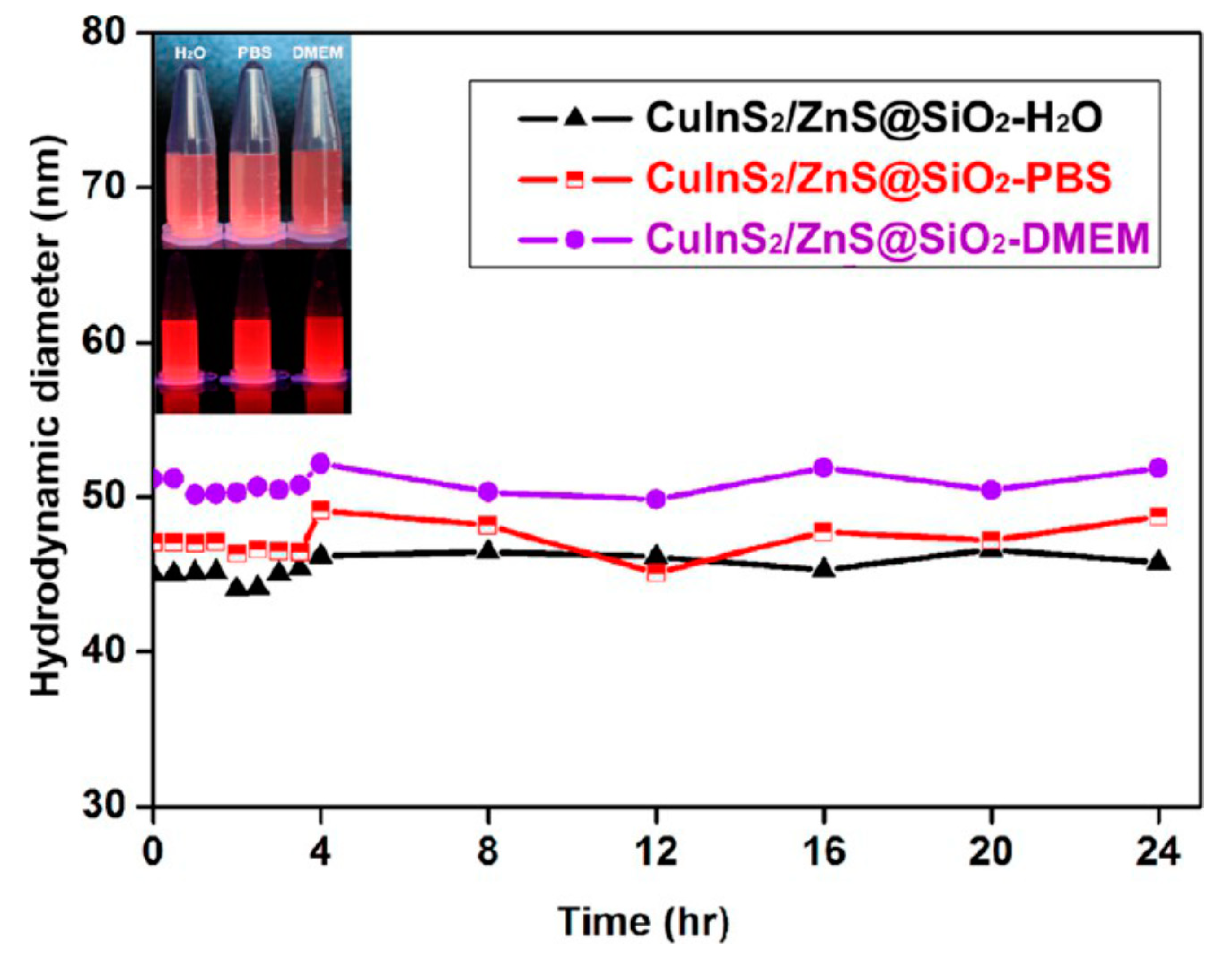 Chemosensors 08 00101 g016