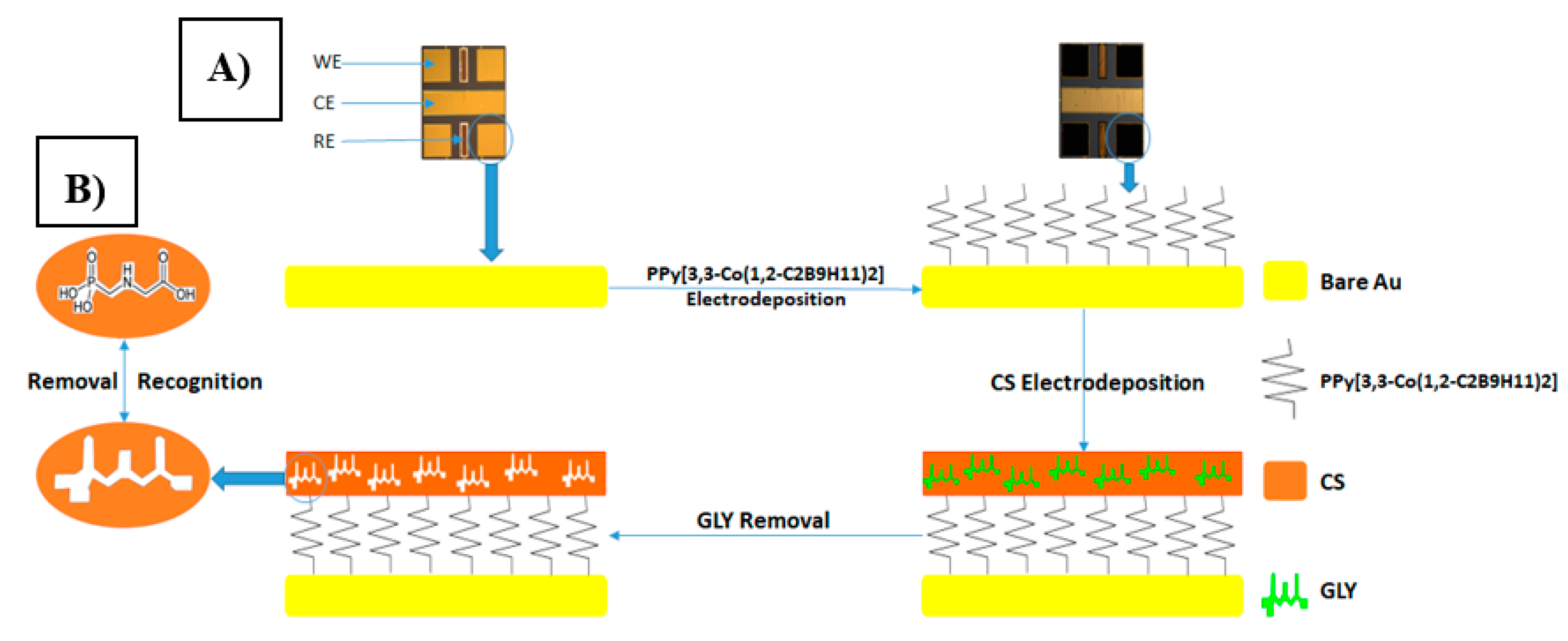 Chemosensors 08 00104 g002 Chemosensors 08 00104 g002
