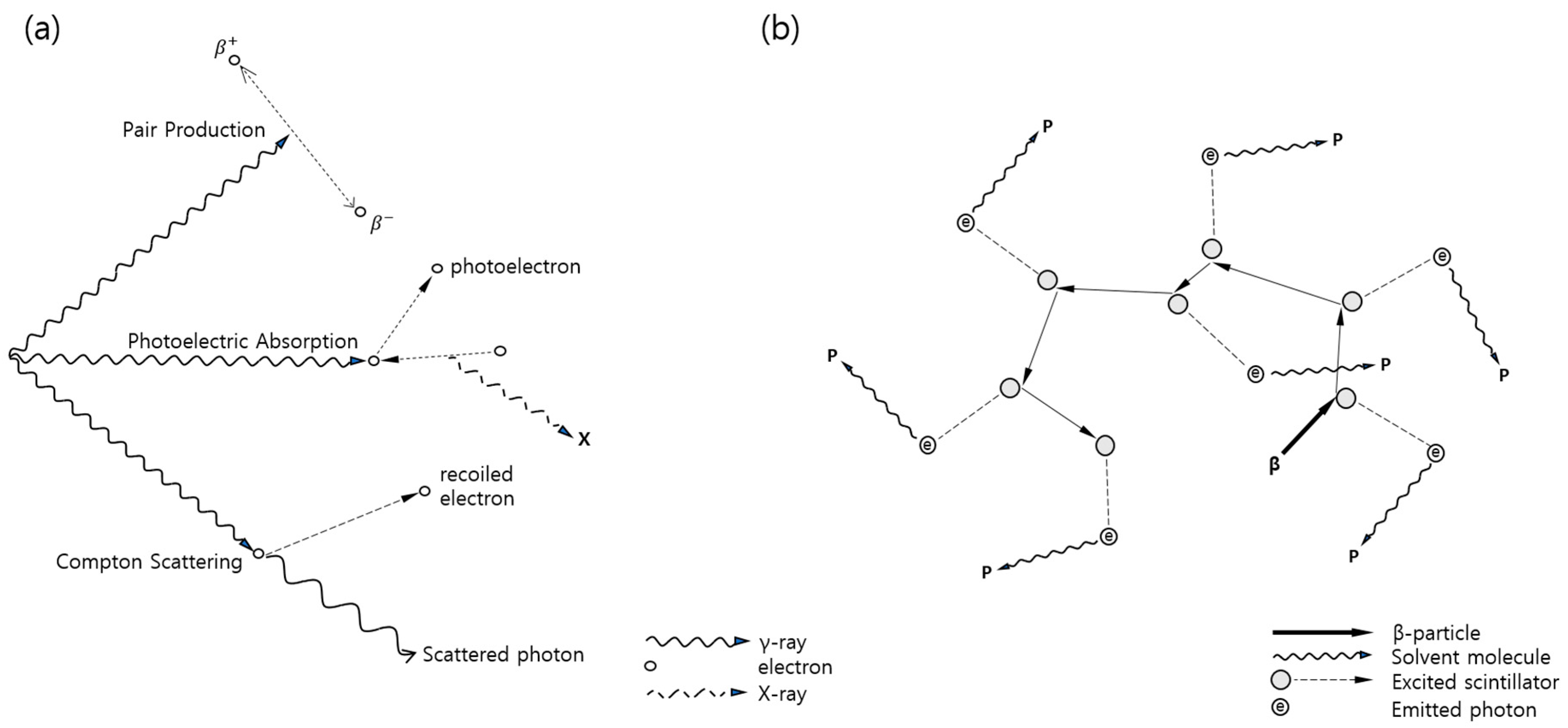 Chemosensors 08 00106 g001