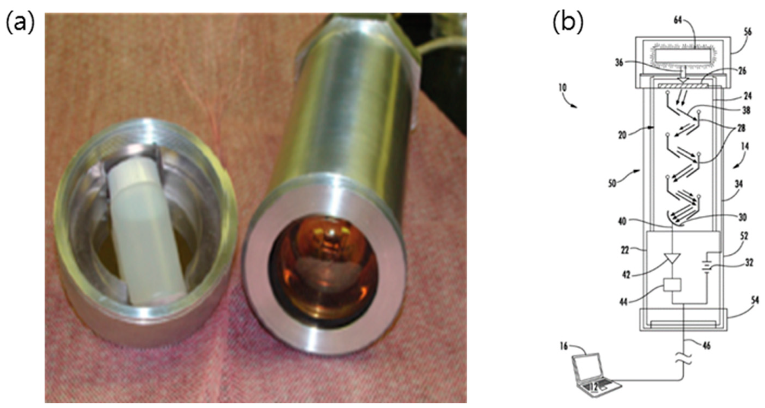 Chemosensors 08 00106 g006