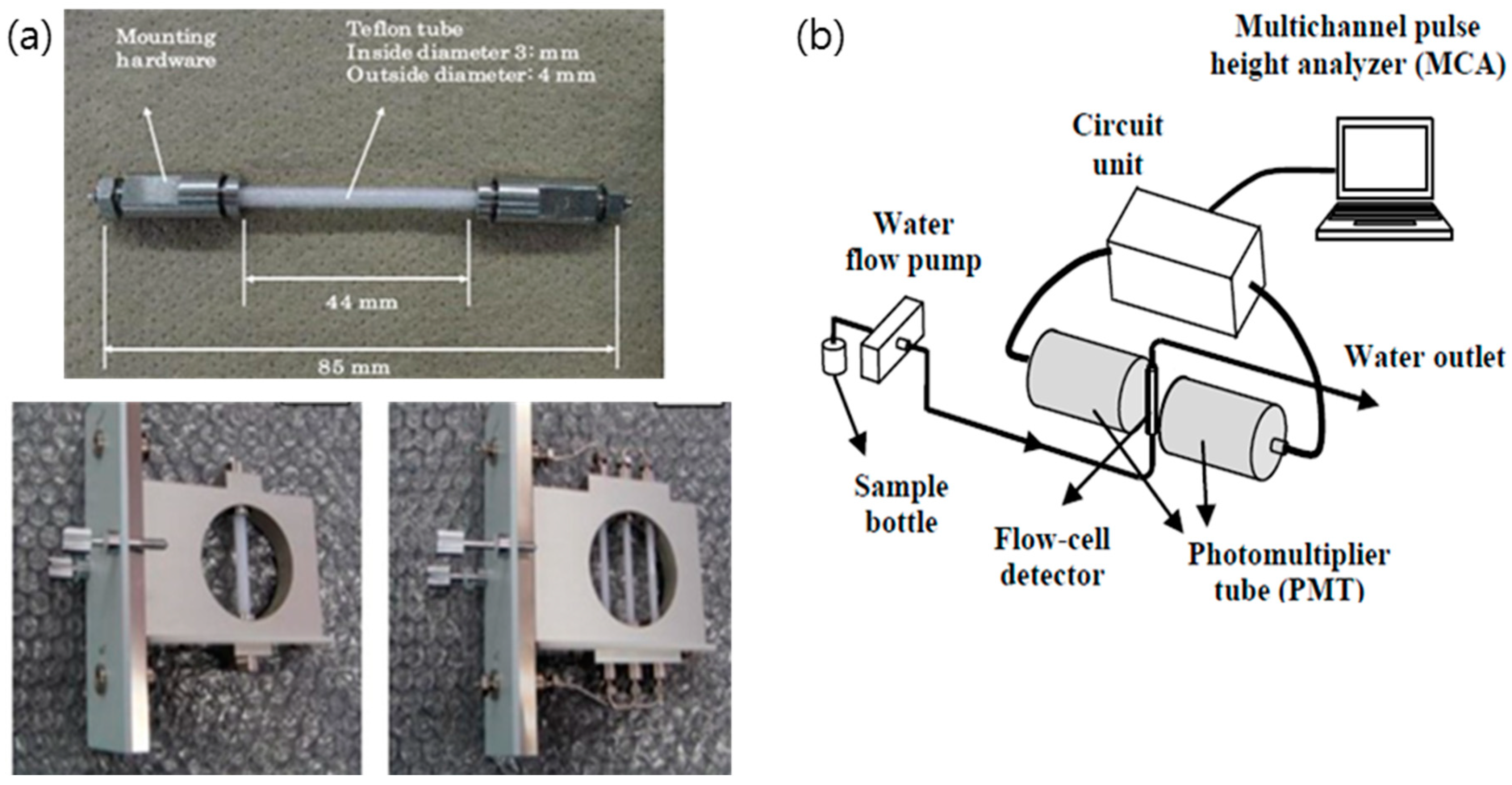 Chemosensors 08 00106 g019