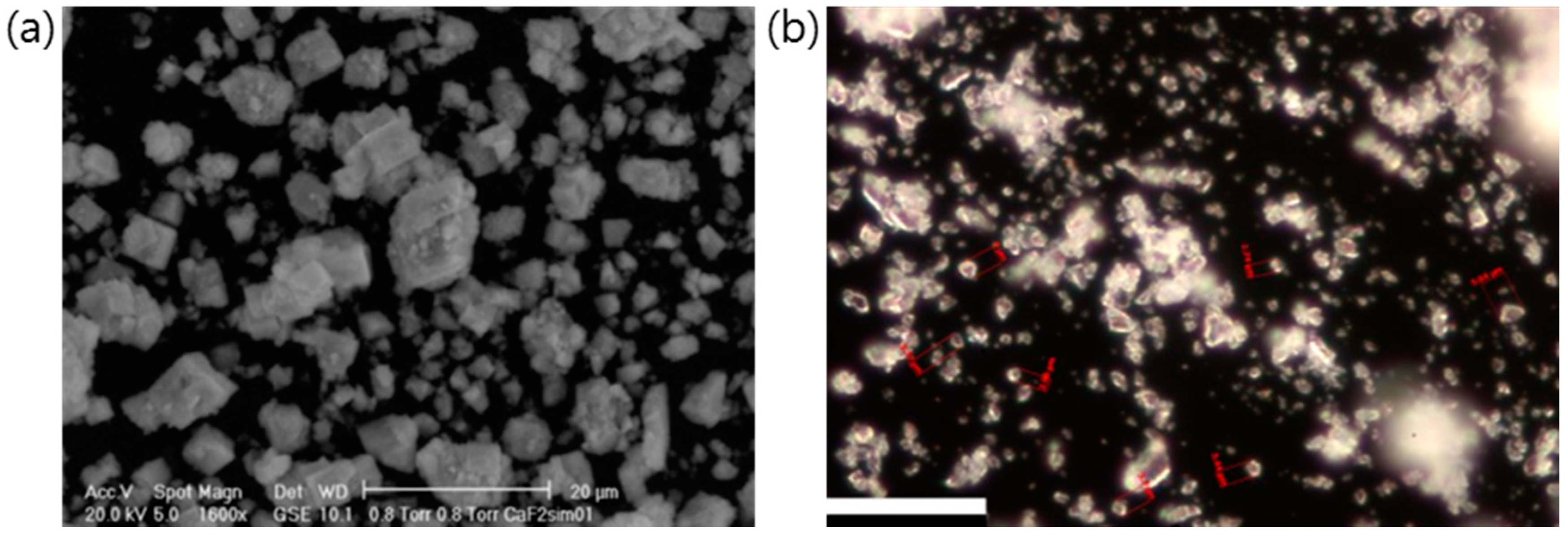 Chemosensors 08 00106 g020