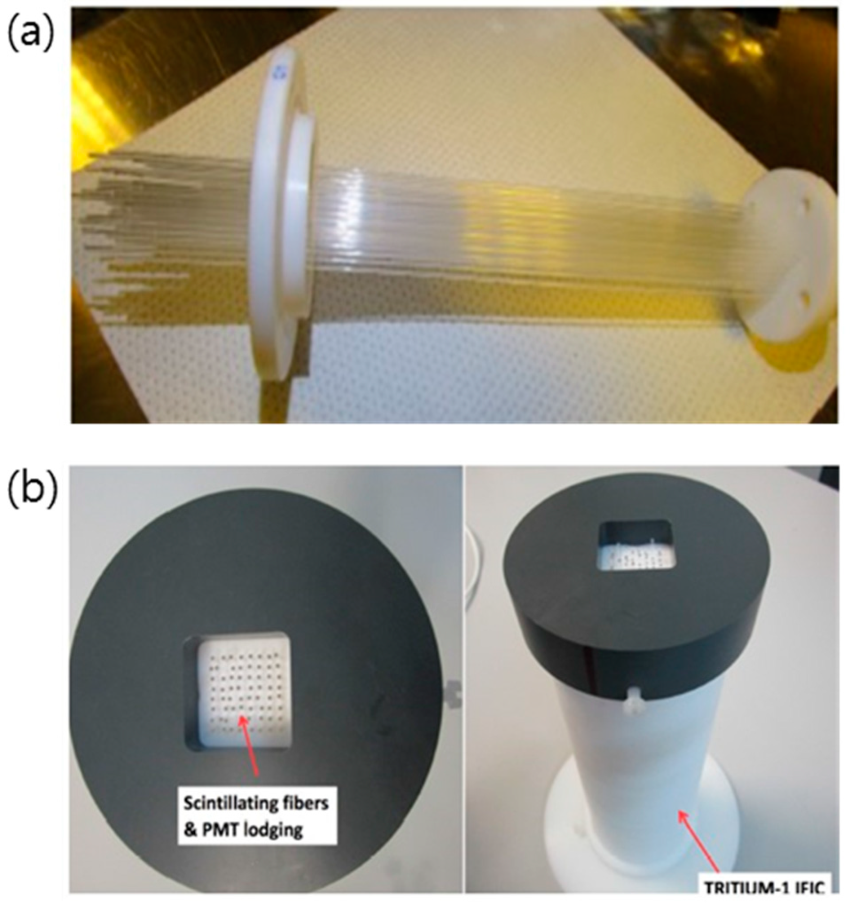 Chemosensors 08 00106 g022