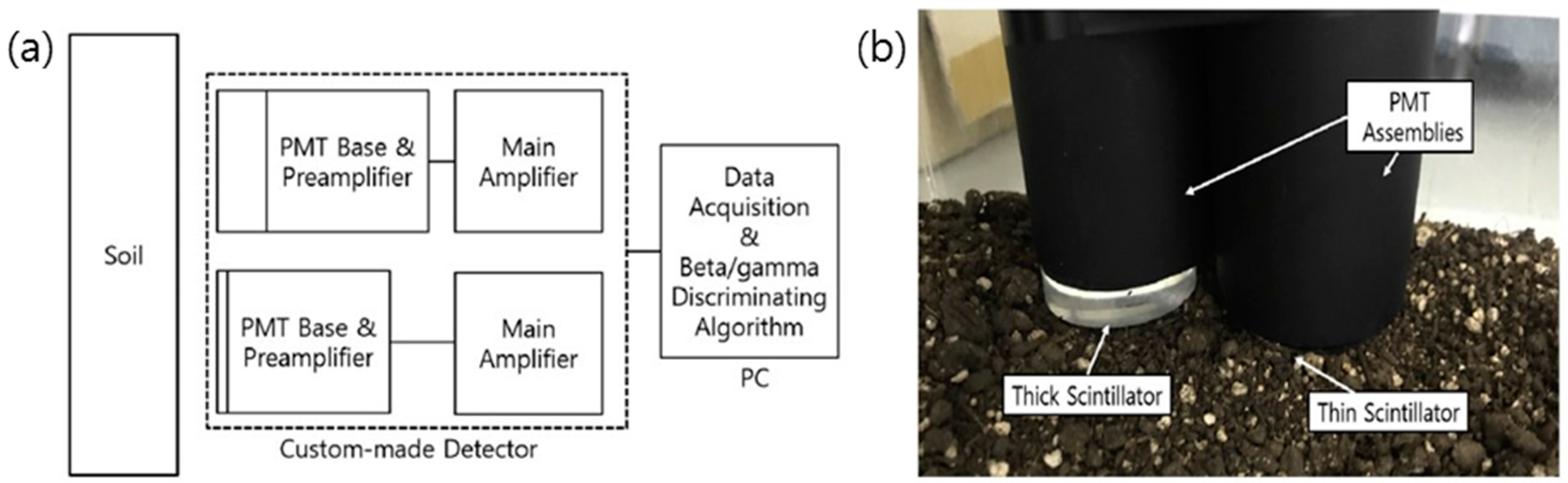 Chemosensors 08 00106 g029