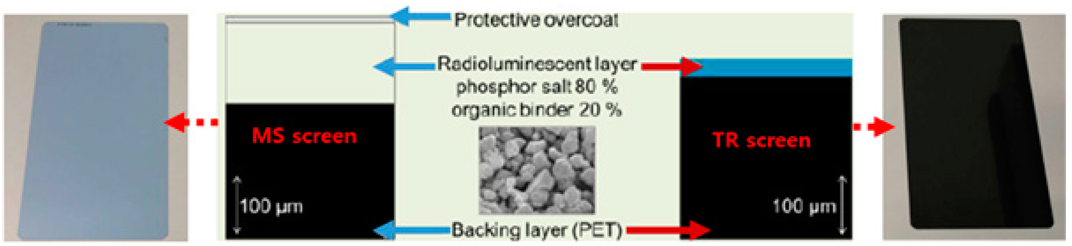 Chemosensors 08 00106 g030