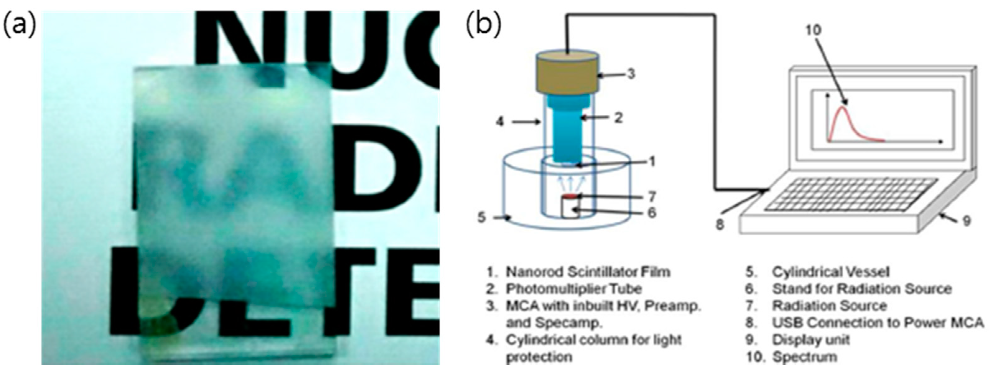 Chemosensors 08 00106 g033