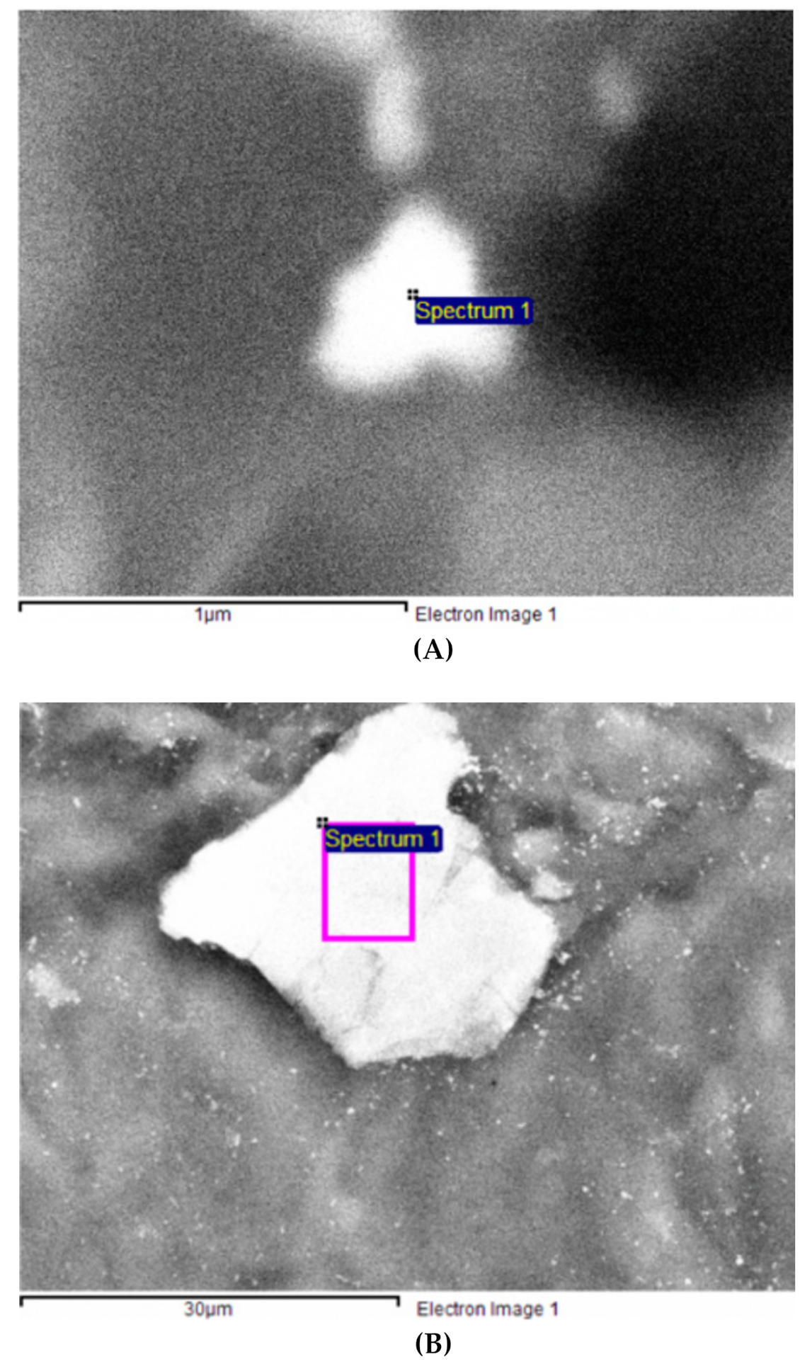 Chemosensors 08 00111 g004