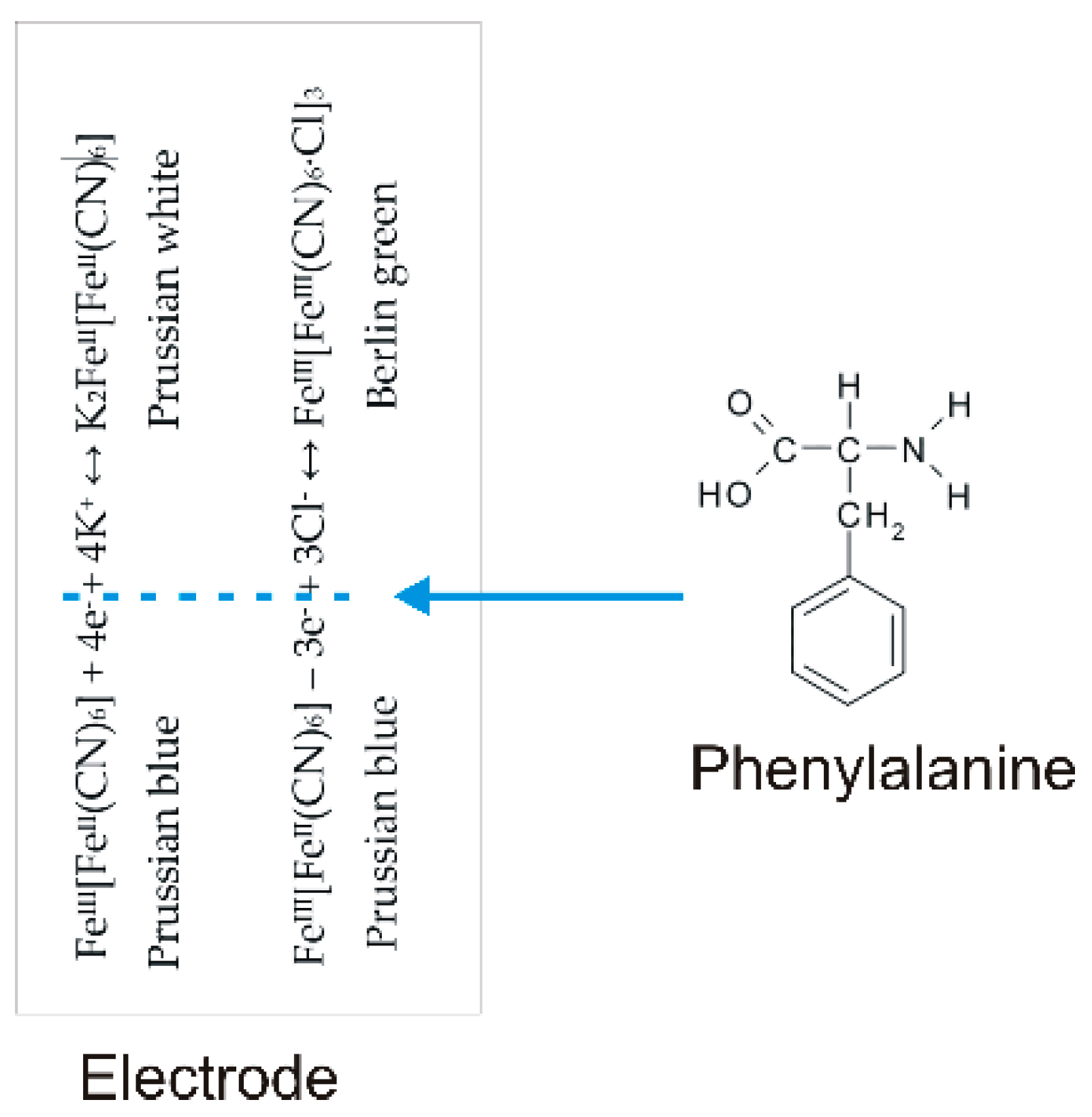 Chemosensors 08 00113 sch003