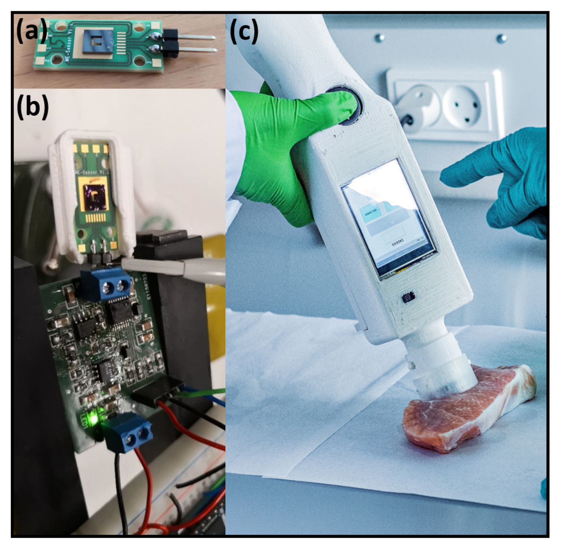 Chemosensors 08 00114 g010