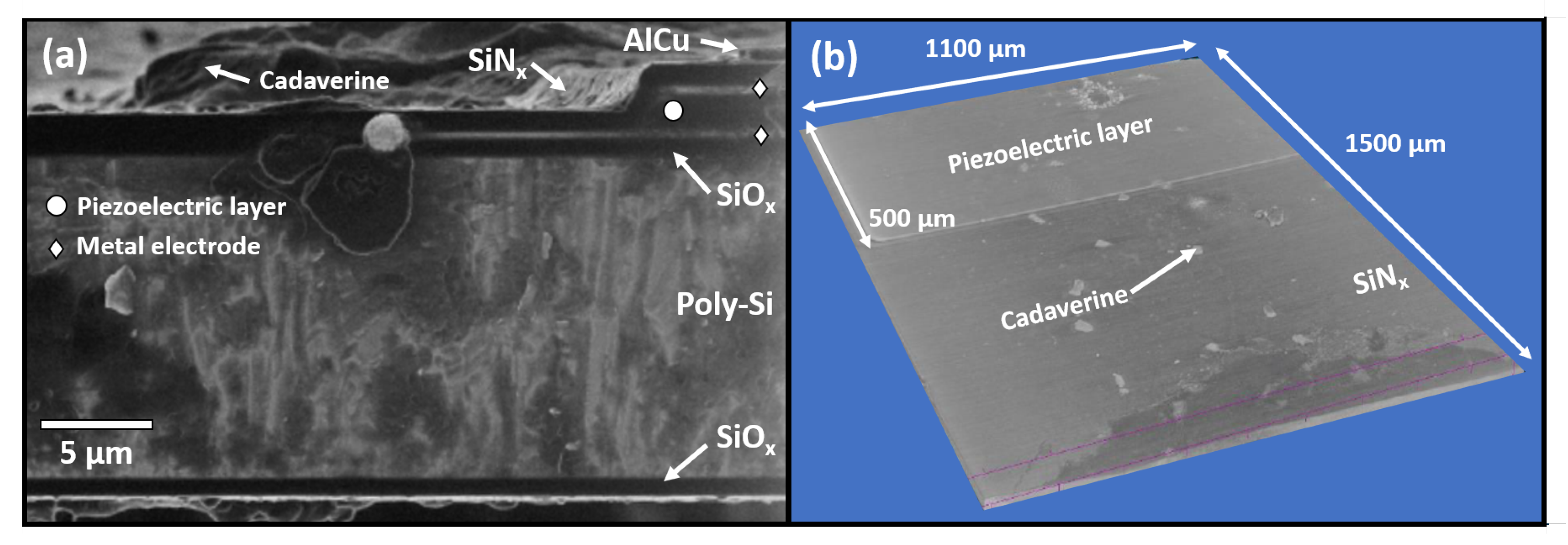 Chemosensors 08 00114 g013