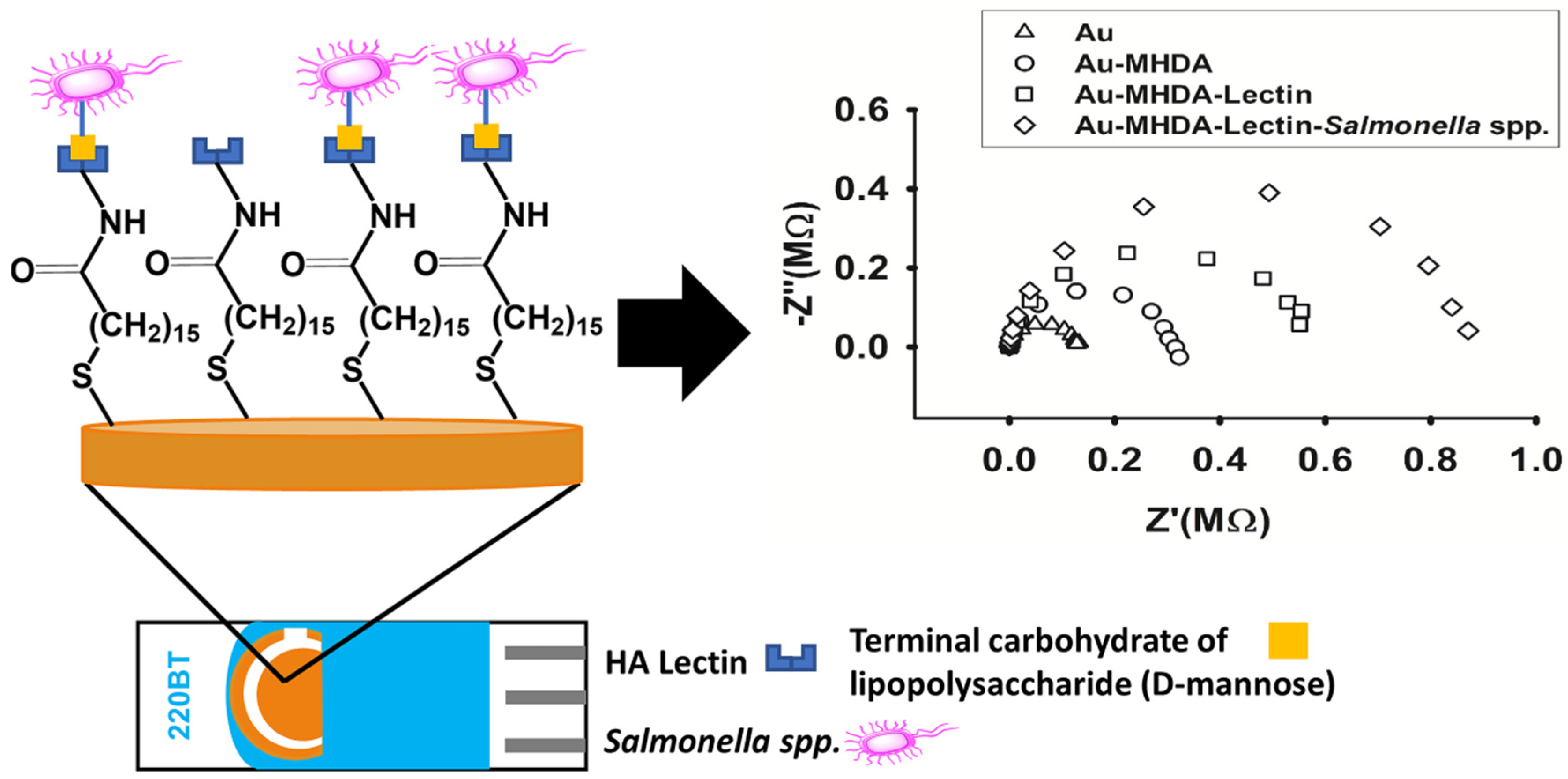 Chemosensors 08 00115 g005