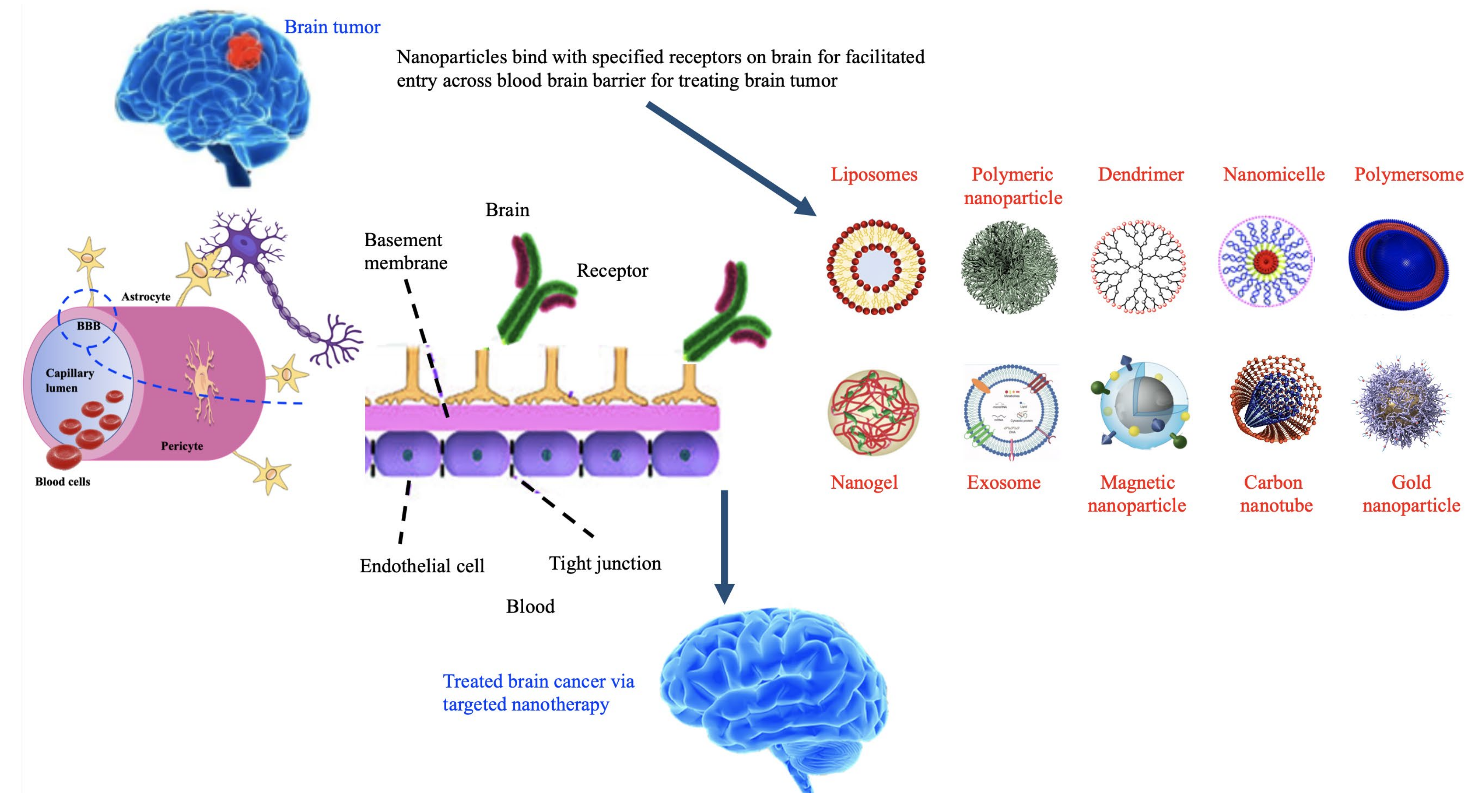 Chemosensors 08 00117 g001