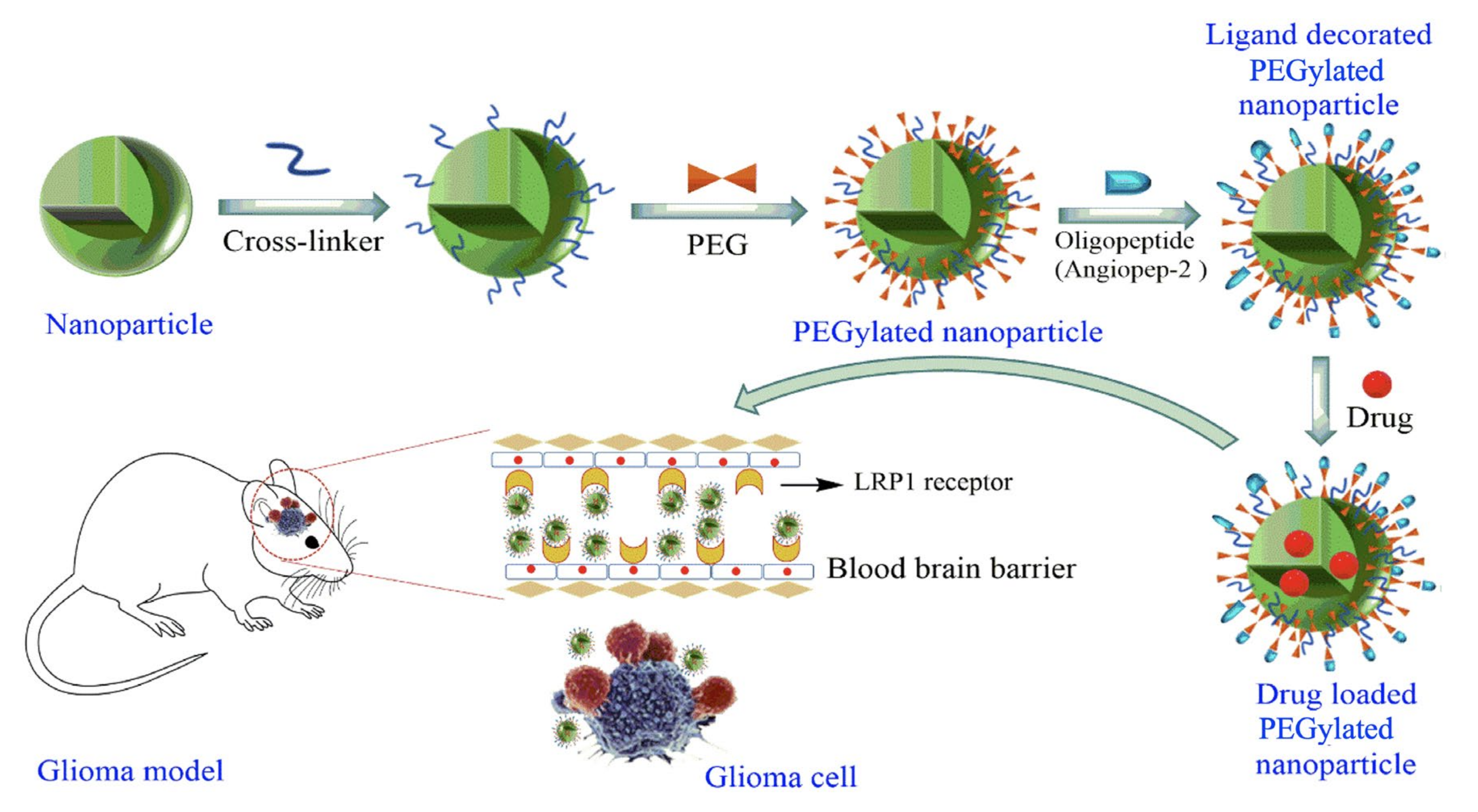 Chemosensors 08 00117 g004