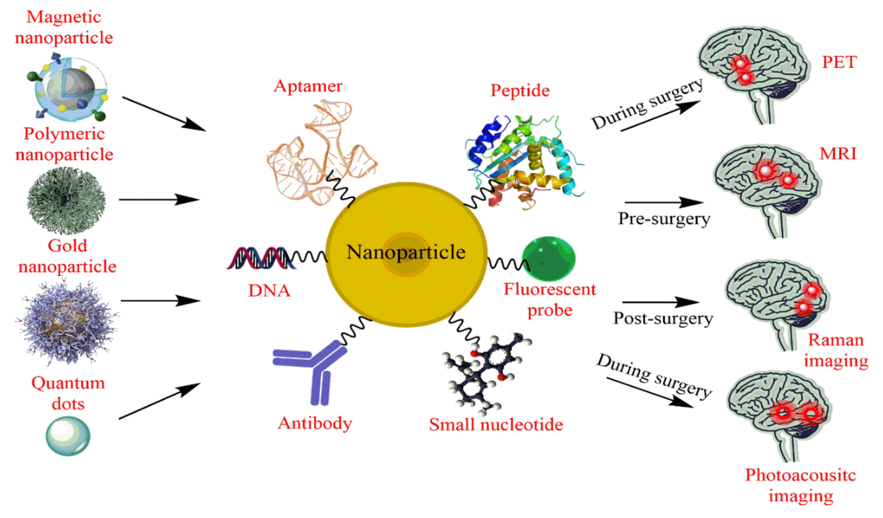 Chemosensors 08 00117 g006