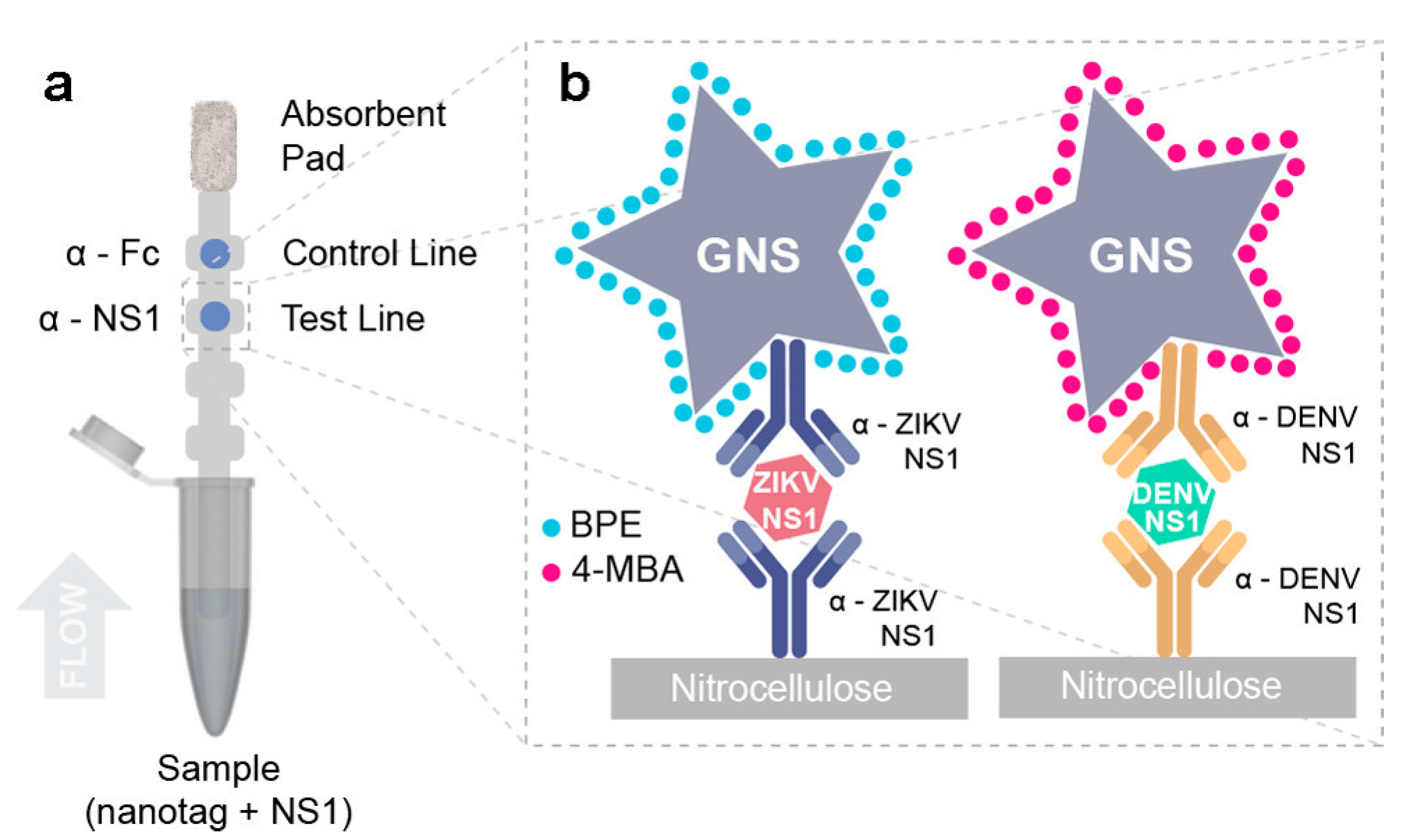 Chemosensors 08 00118 g004