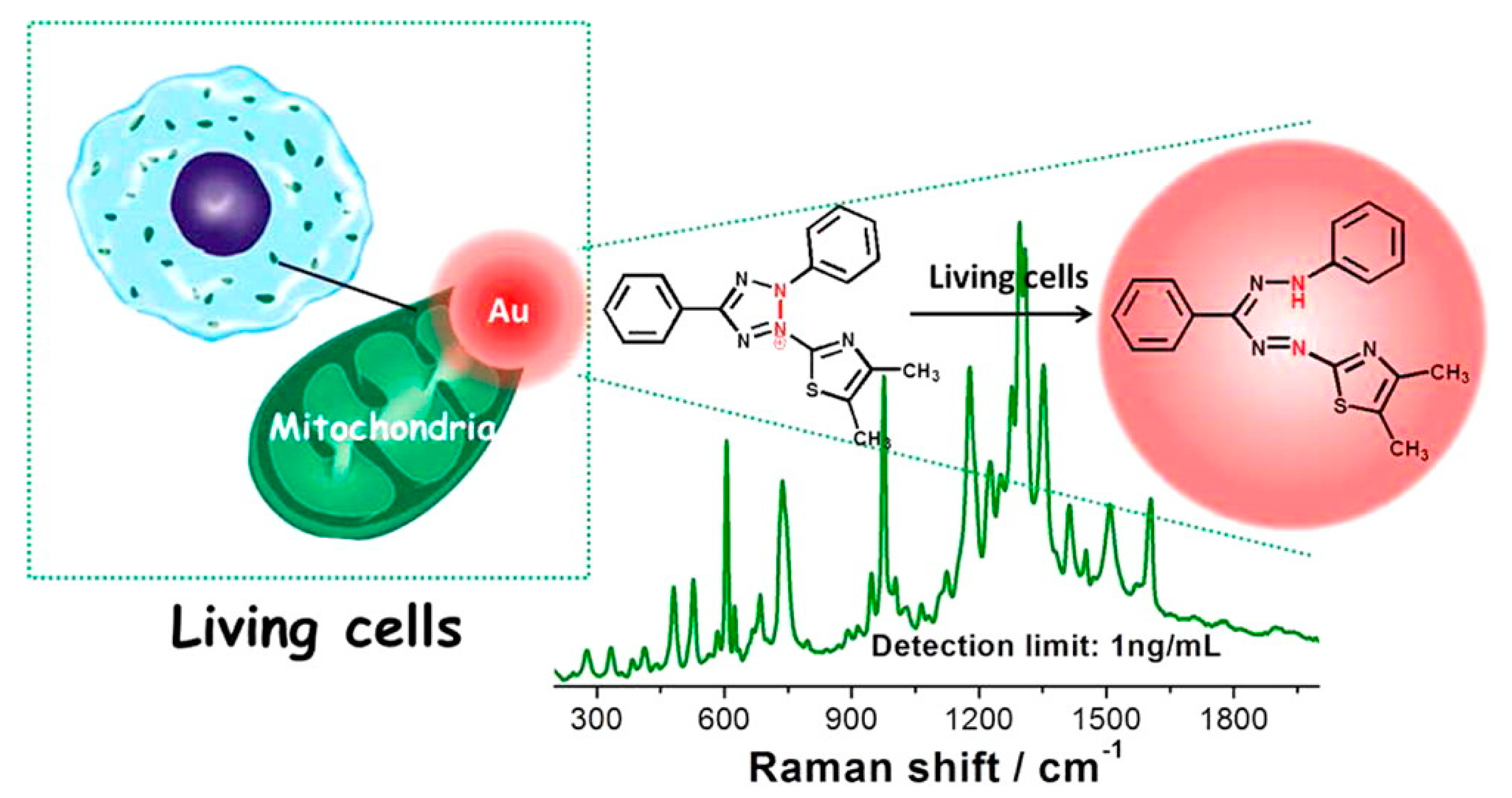 Chemosensors 08 00118 g005