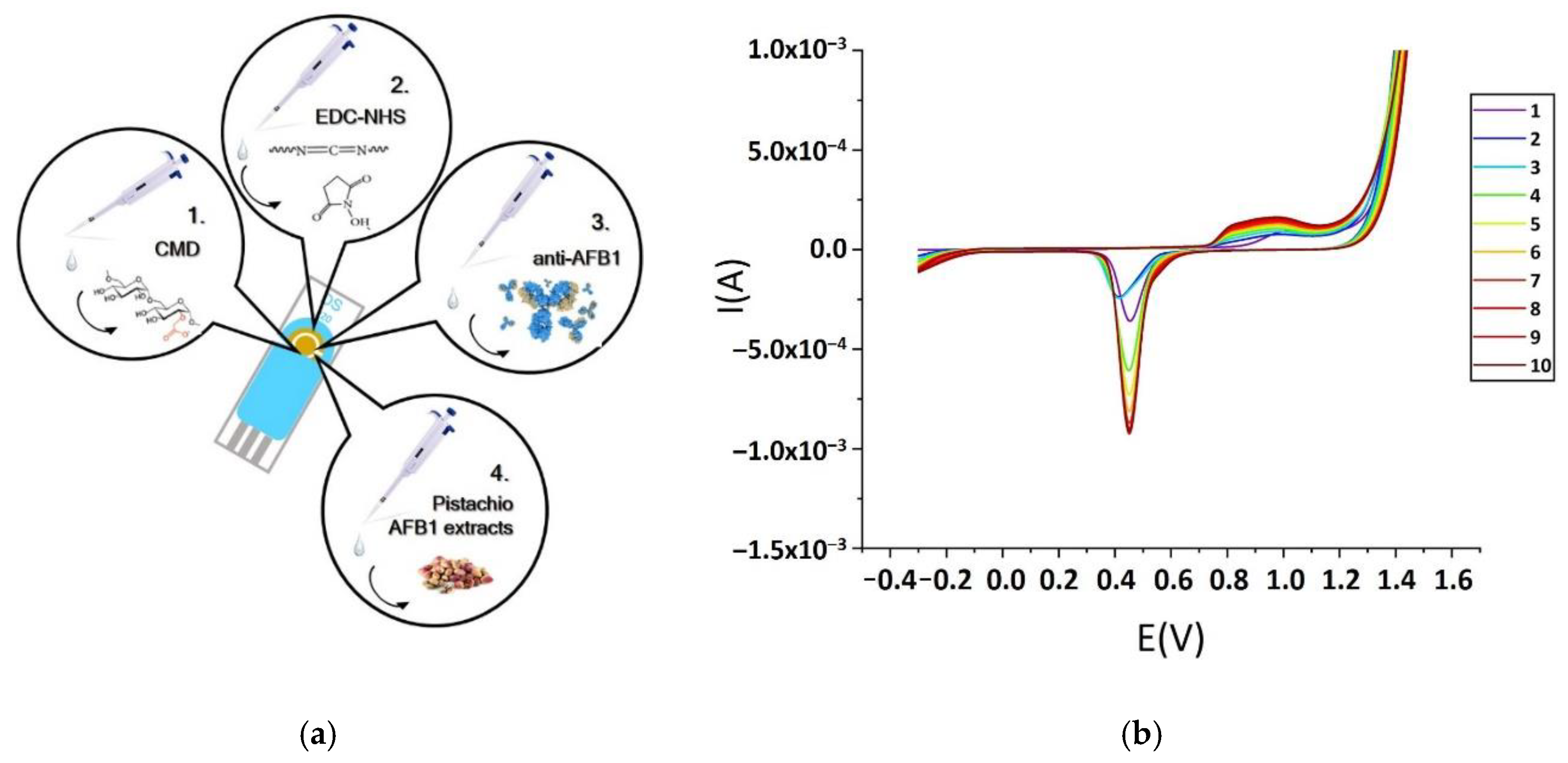 Chemosensors 08 00121 g001