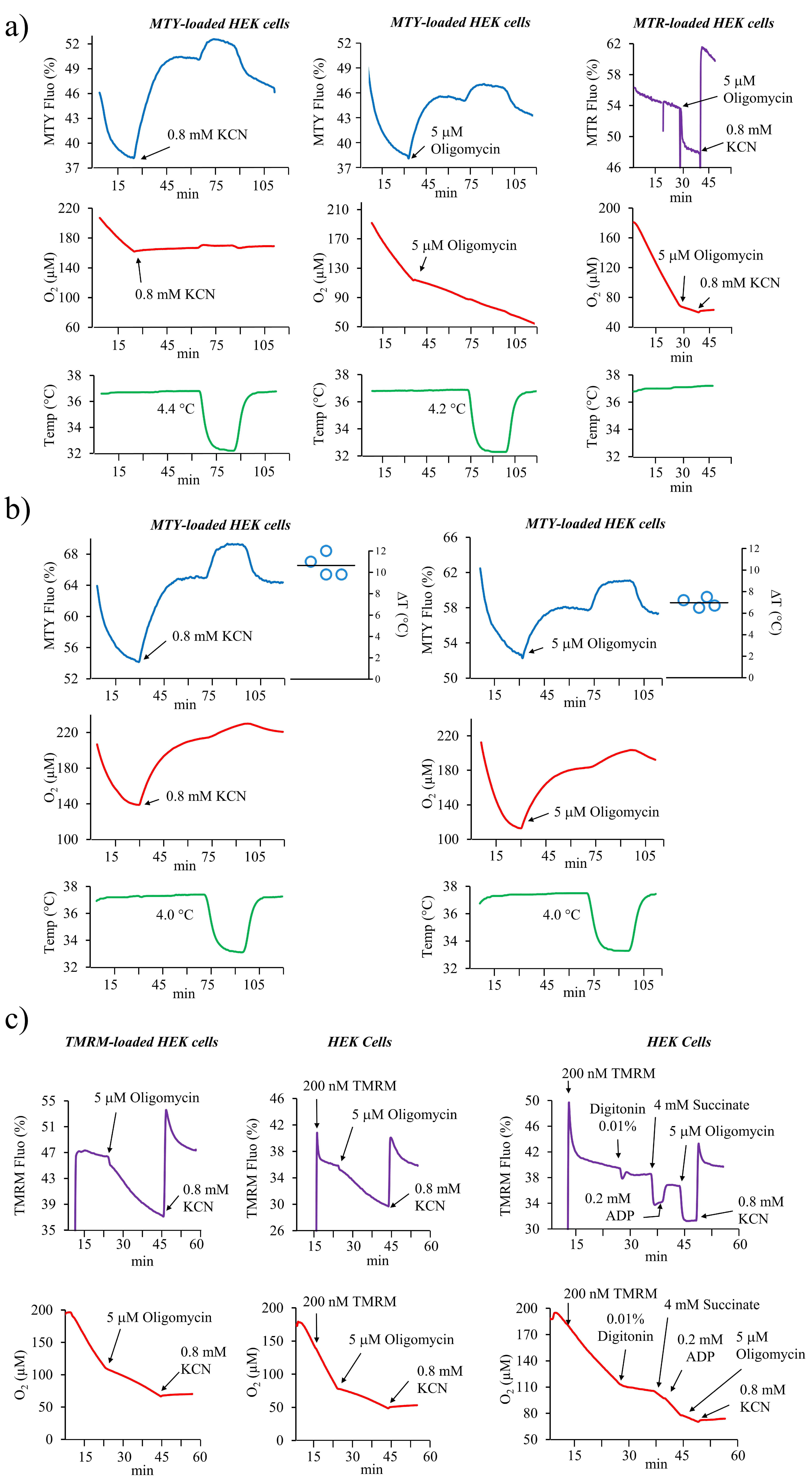 Chemosensors 08 00124 g001