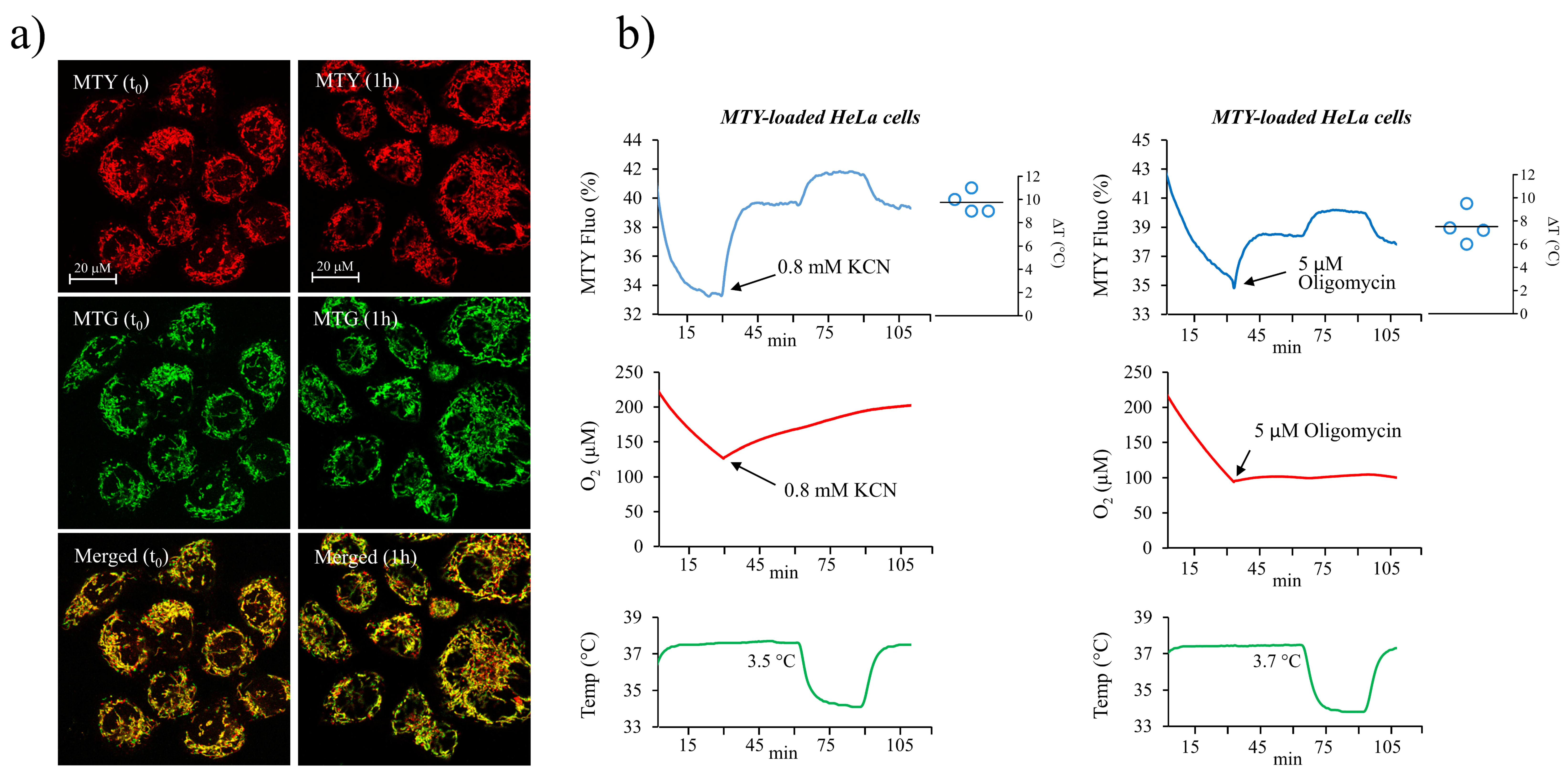 Chemosensors 08 00124 g002