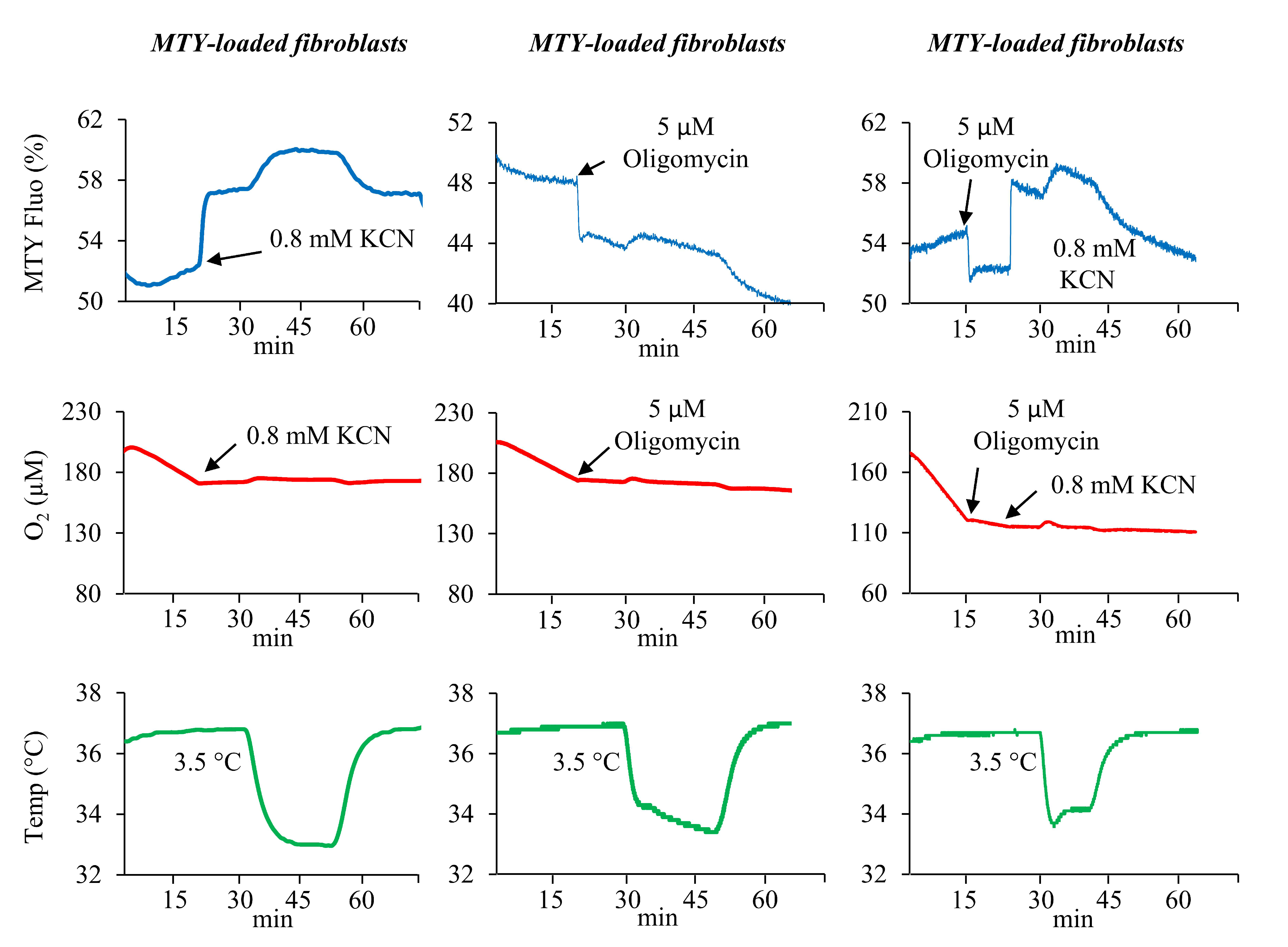 Chemosensors 08 00124 g003