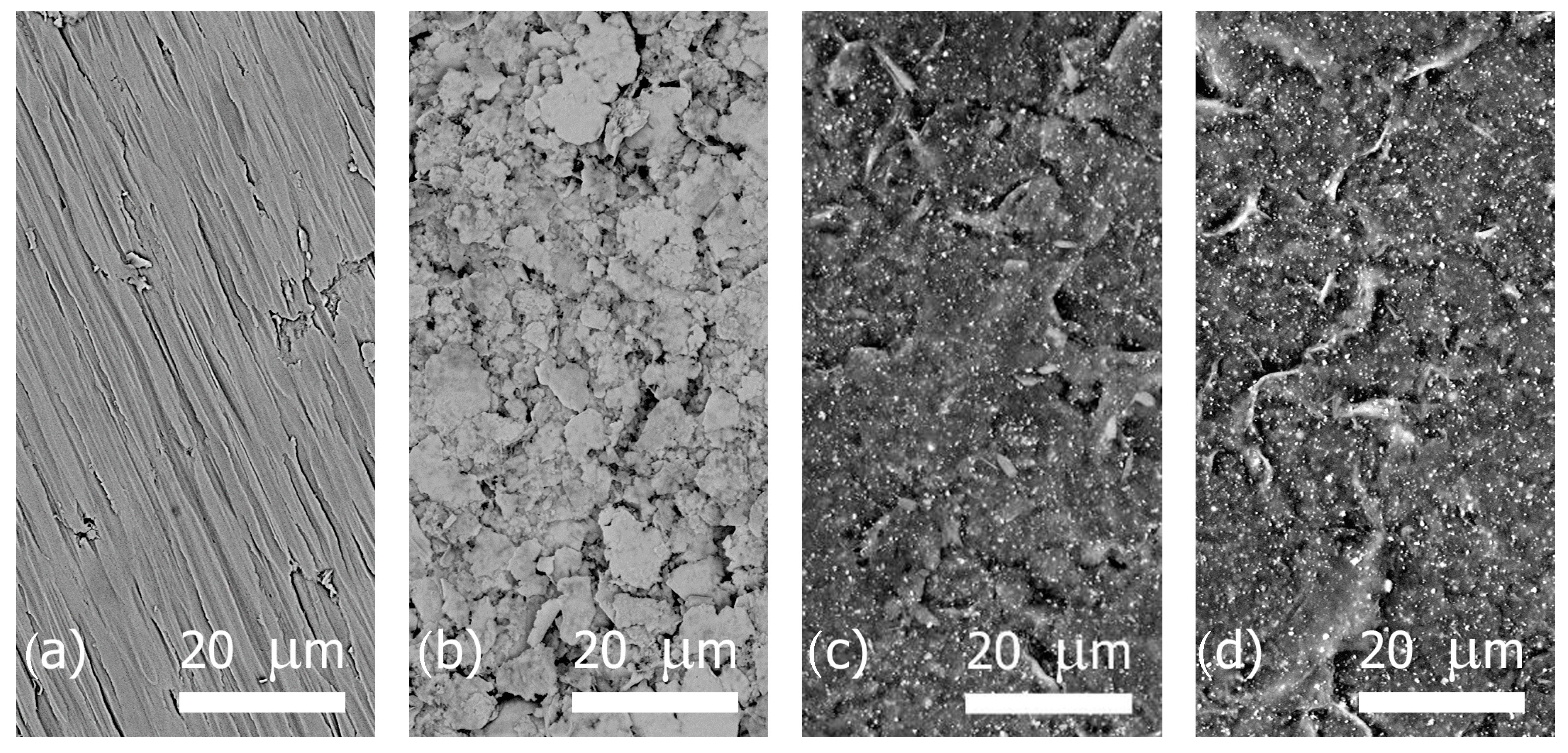 Chemosensors 08 00125 g004