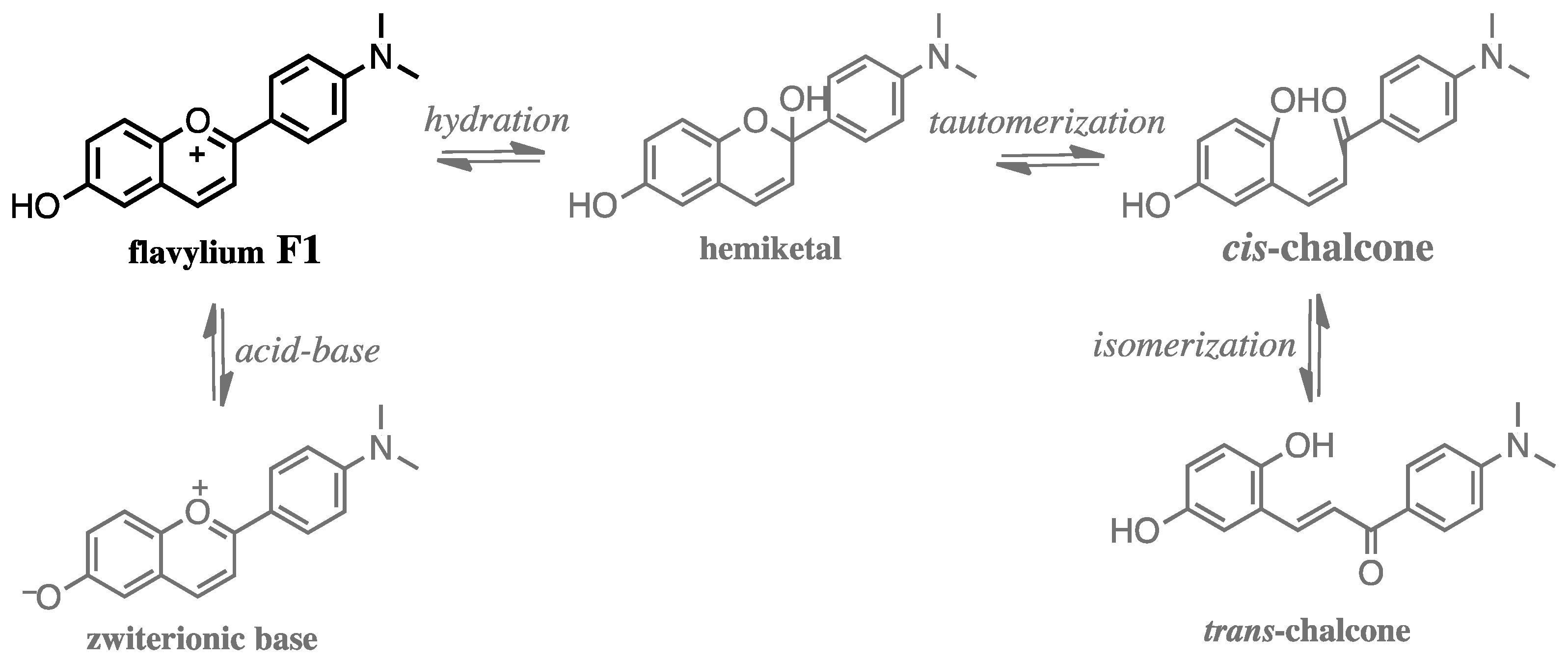 Chemosensors 08 00129 sch001