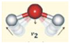 Chemosensors 08 00131 i001