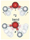 Chemosensors 08 00131 i002