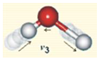 Chemosensors 08 00131 i004