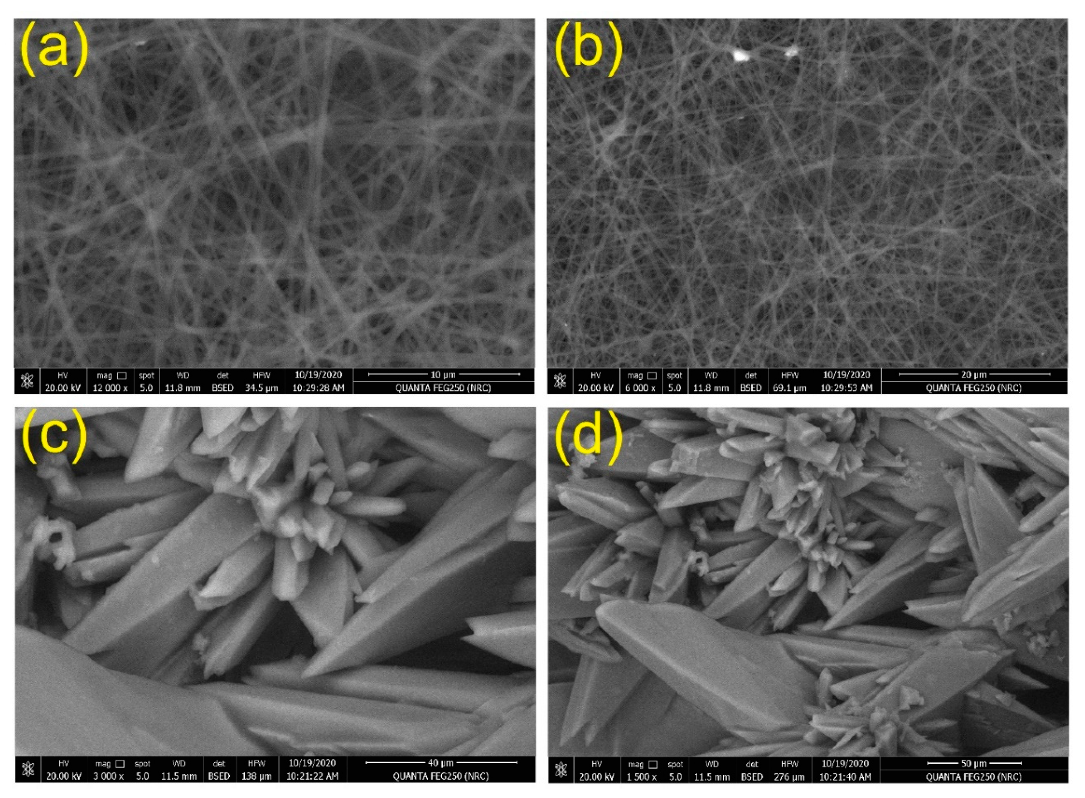 Chemosensors 08 00132 g006